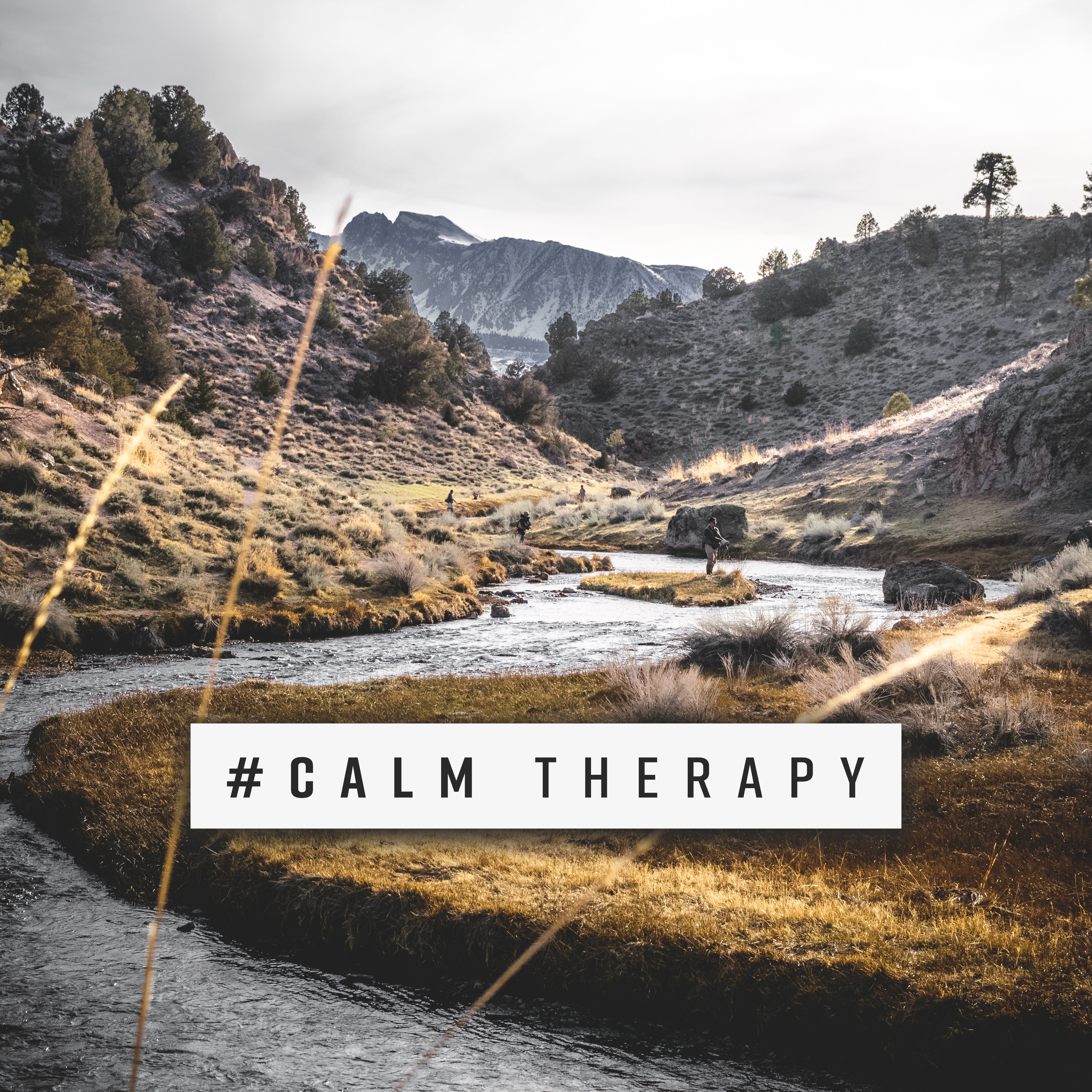 #Calm Therapy