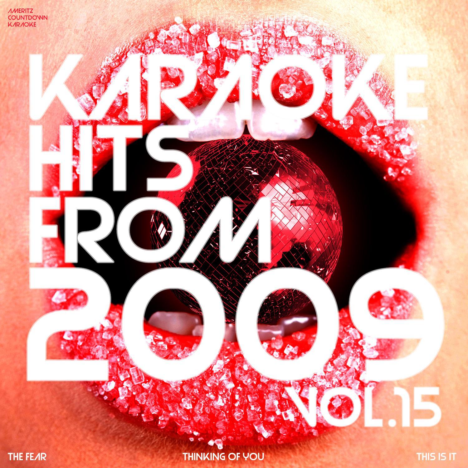 Karaoke Hits from 2009, Vol. 15