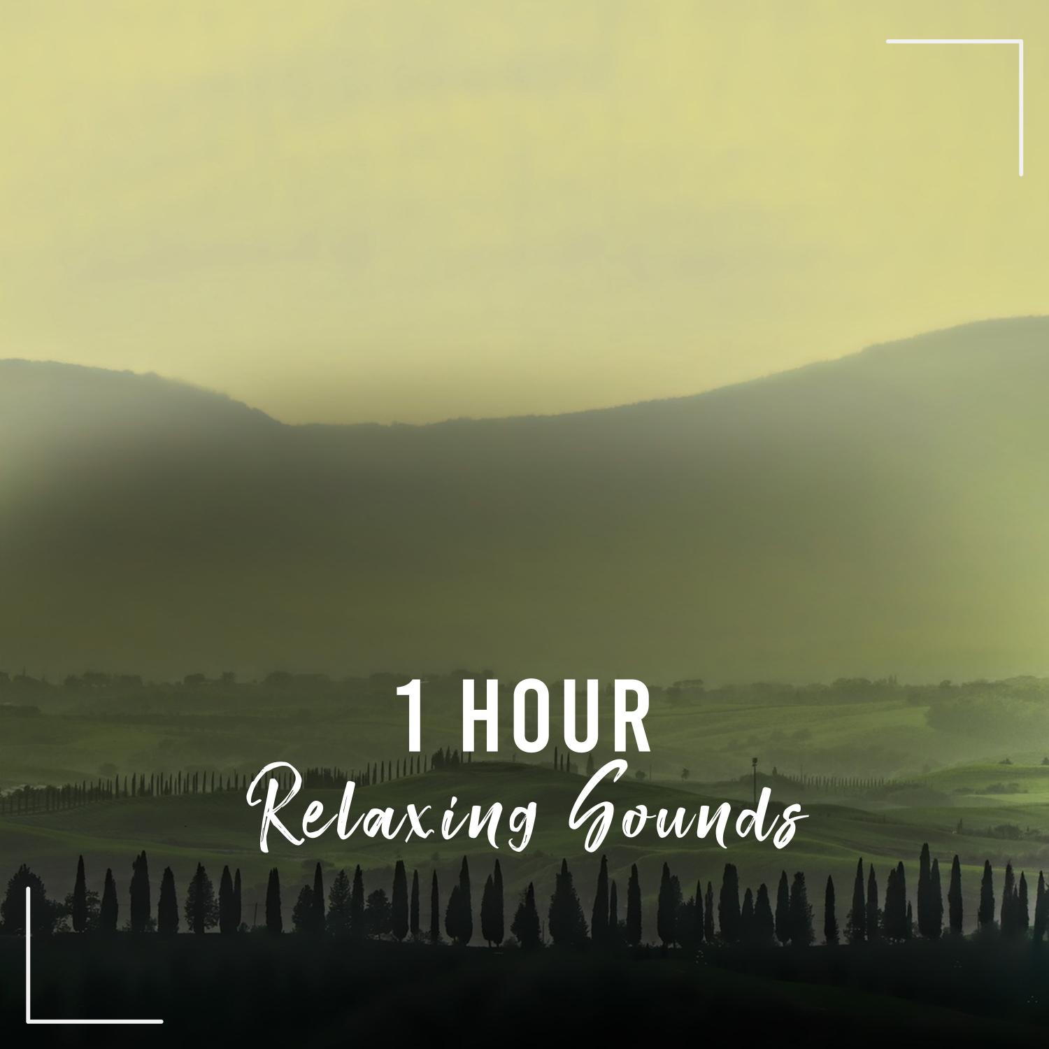 1 Hour Relaxing Noises to Relax