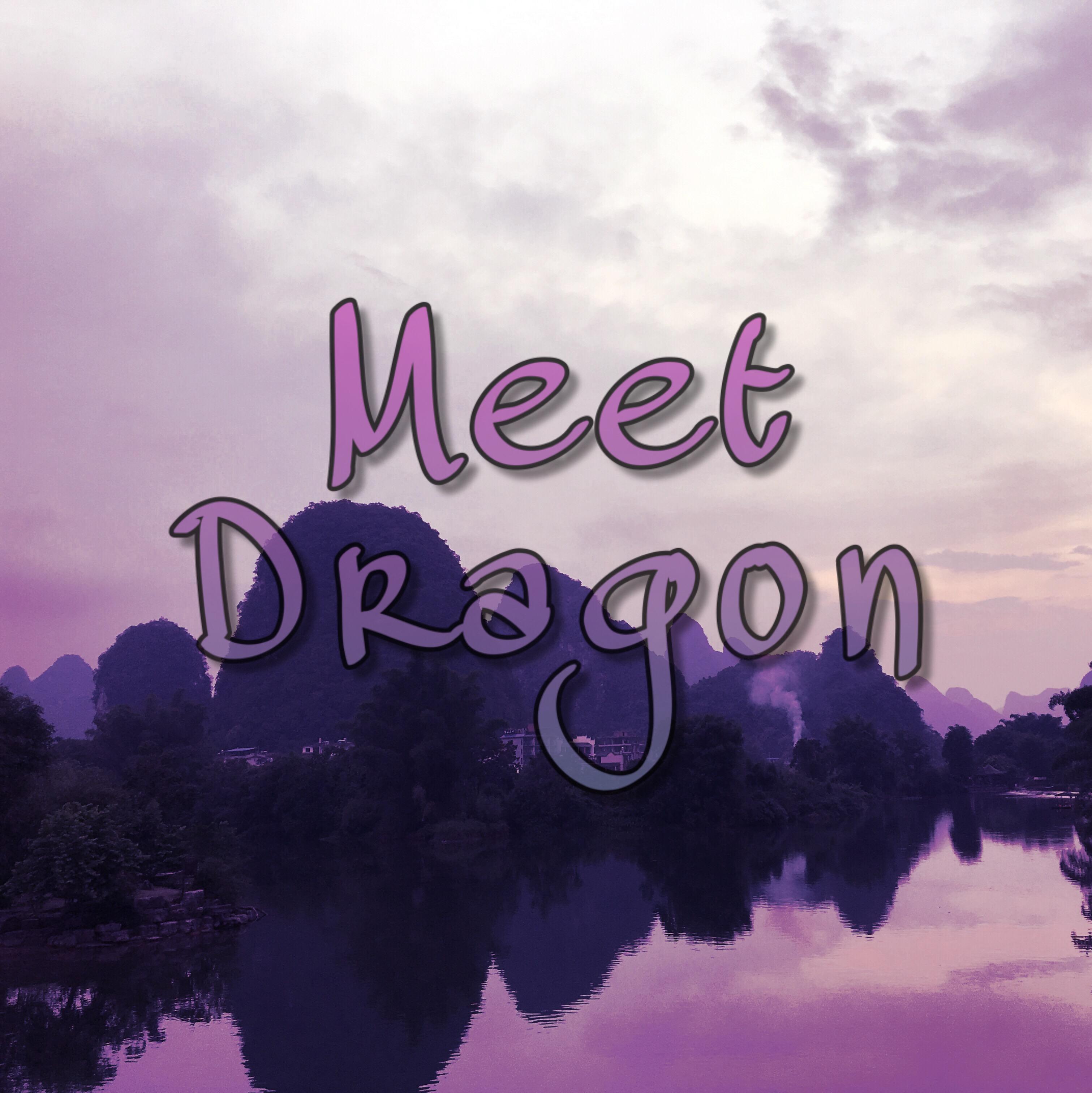 Meet Dragon