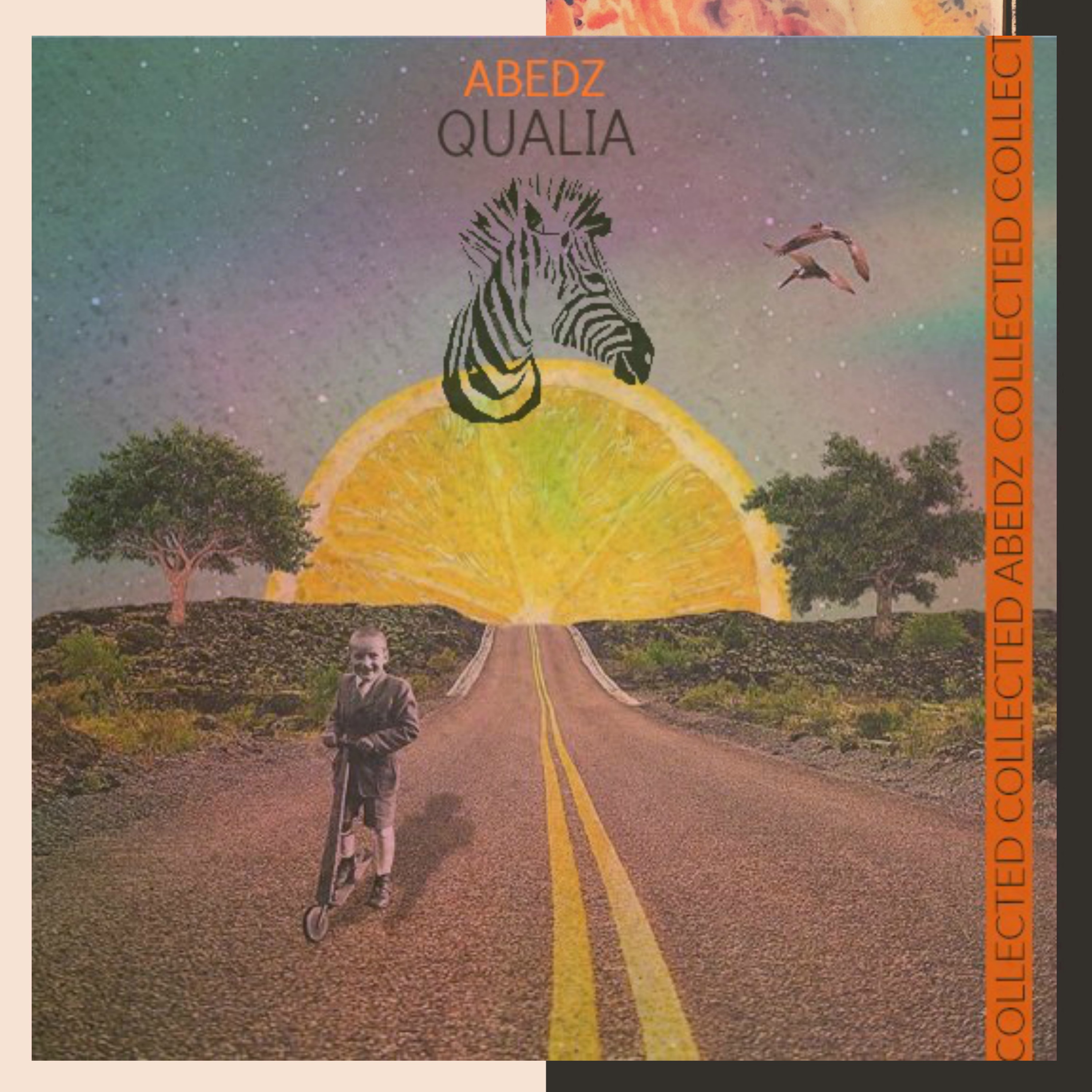 Qualia