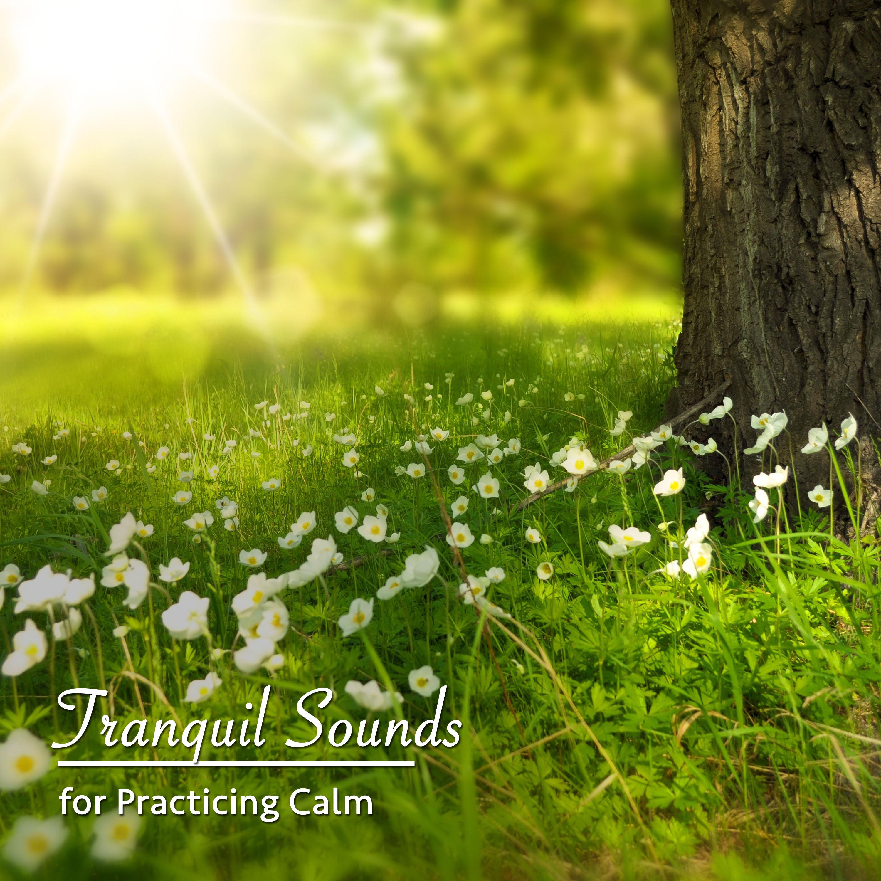 18 Relaxing, Ambient Songs for Rejuvenation