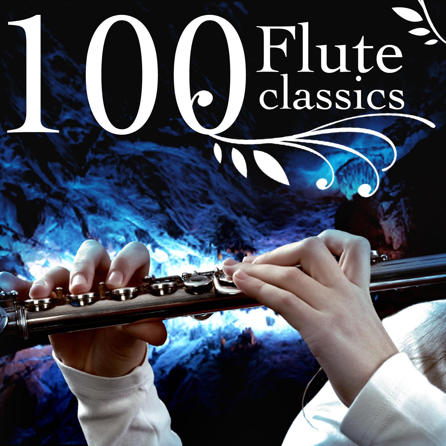 Concerto For Flute And Orchestra In D Major, K 314:III. Allegro