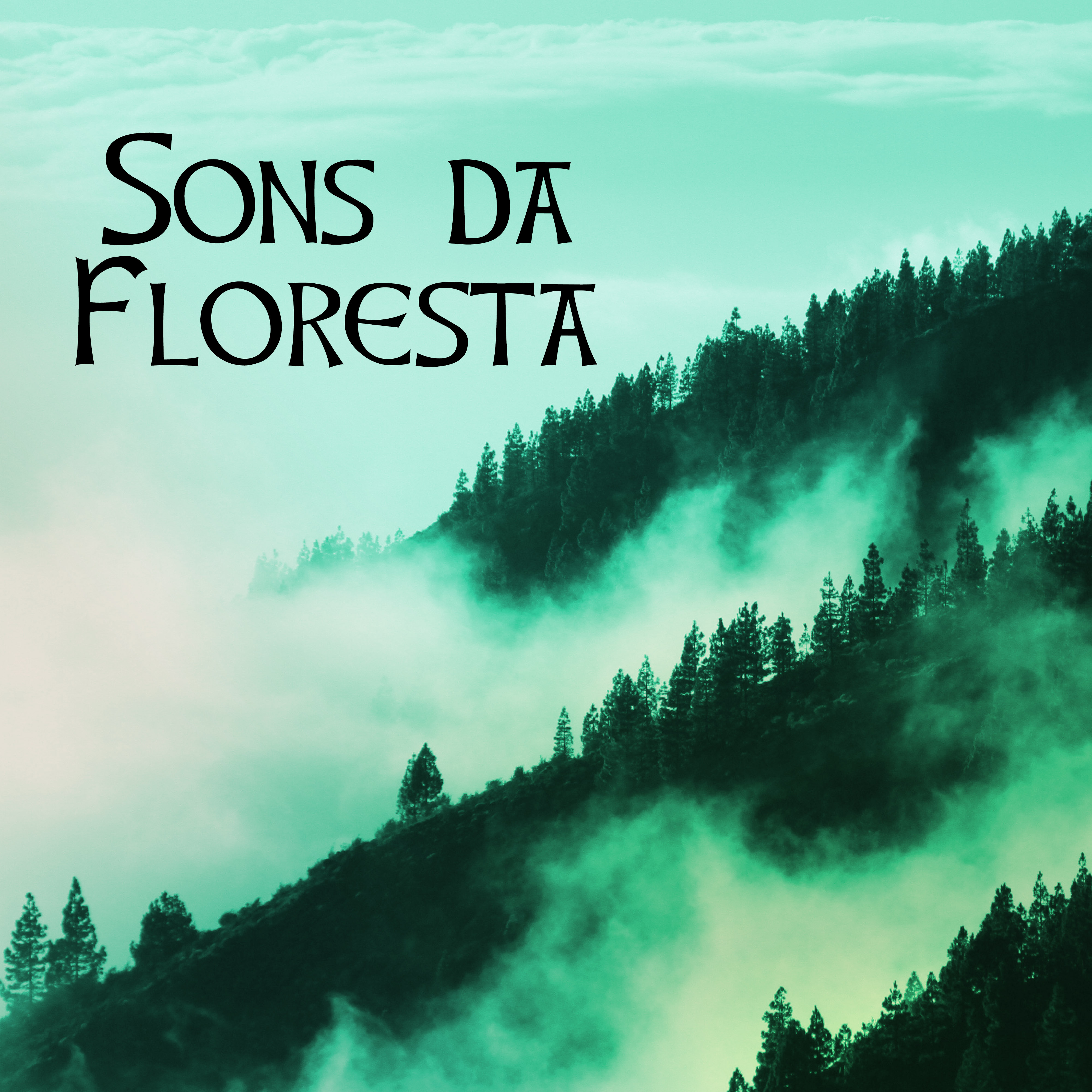 Sons da Floresta - Sons de Passaros, Musicas de Fundo para Relaxamento e Serenidade