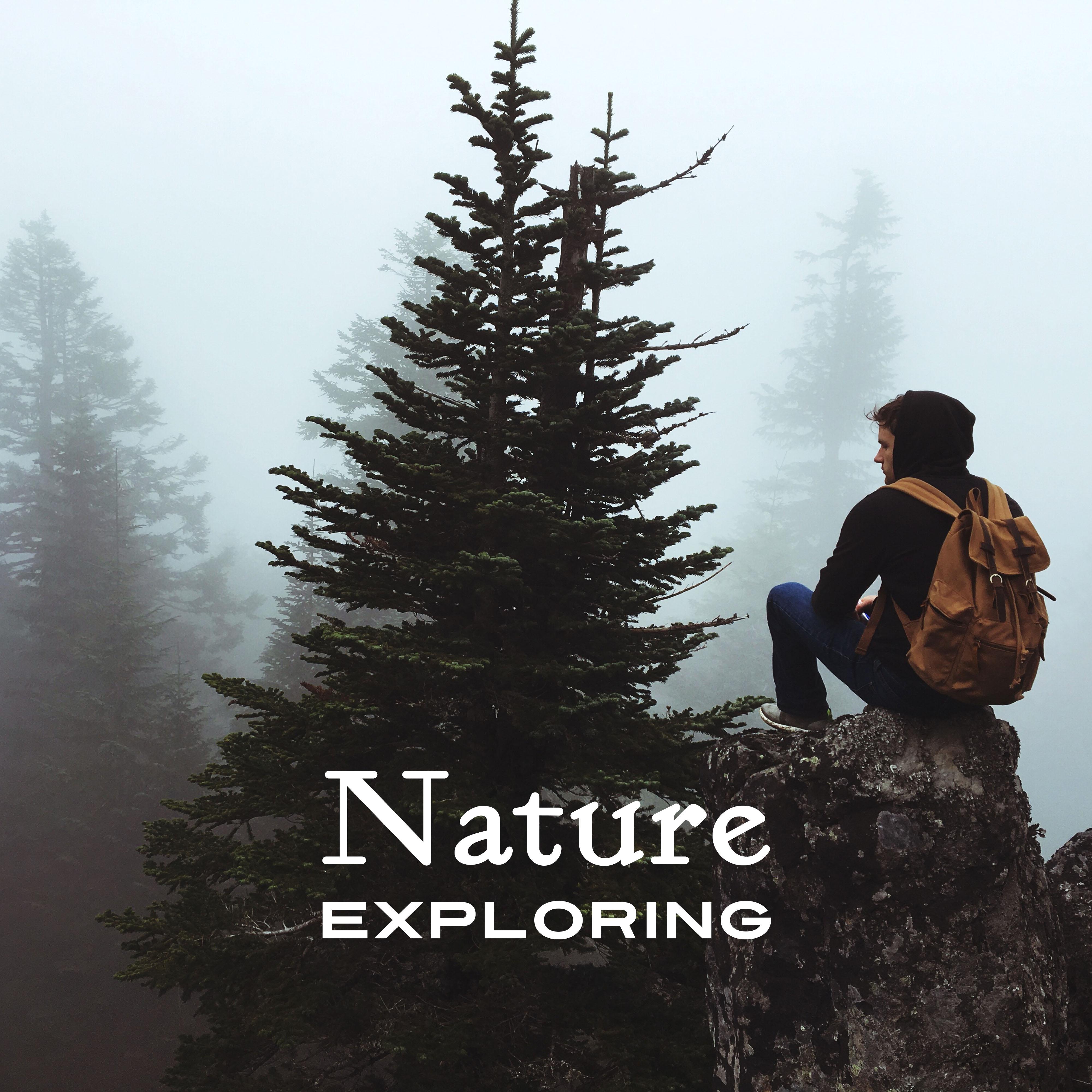 Nature Exploring  Nature Relaxation, Sounds to Calm Down, New Age Music, Stress Relief