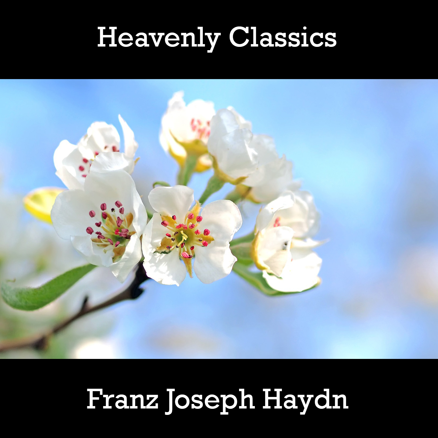 Heavenly Classics Franz Joseph Haydn