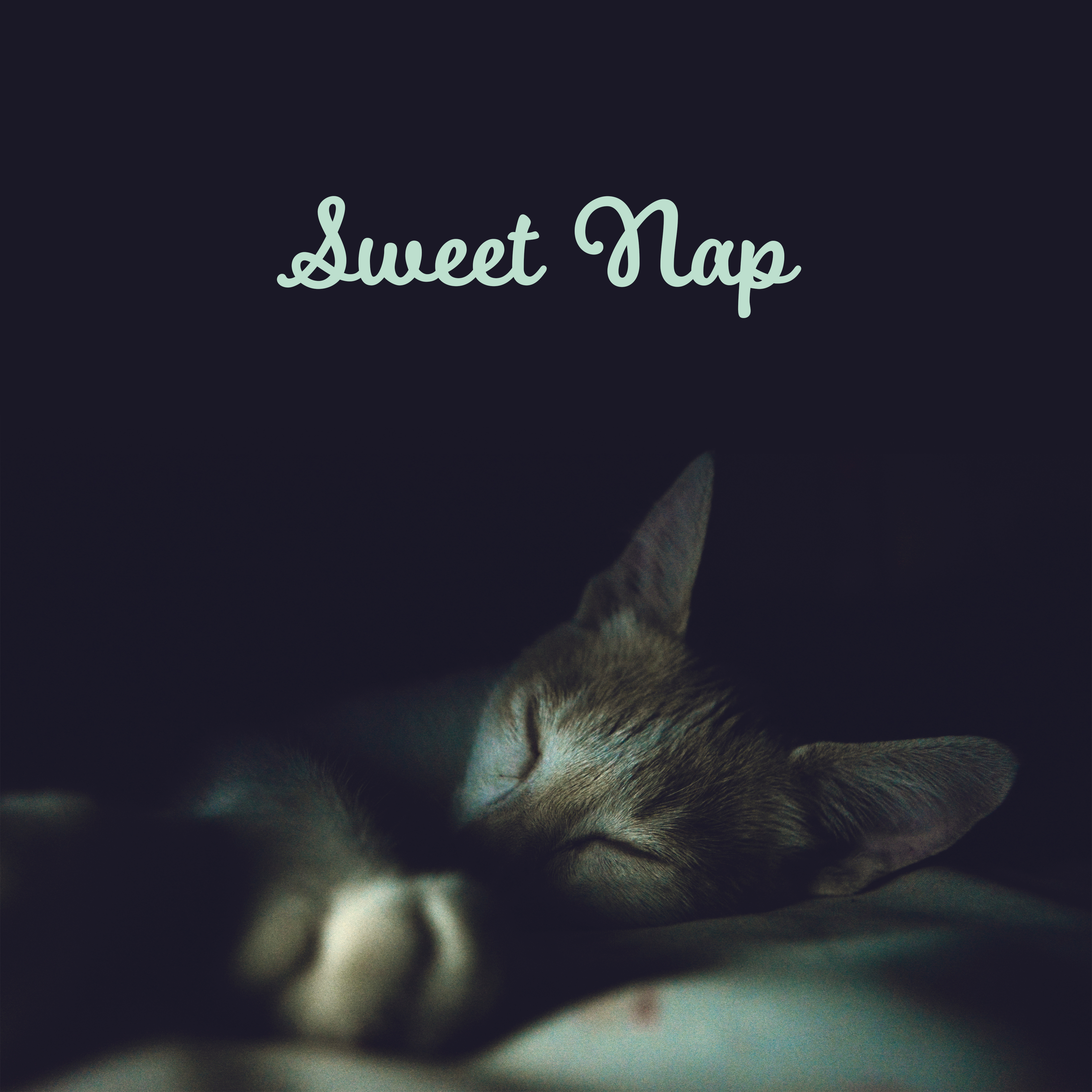 Sweet Nap  Peaceful Sounds for Sleep, Relaxation, Healing, Zen, Relief, Tranquil Sleep, Music to Pillow, Deep Dreams, Relaxing Bedtime