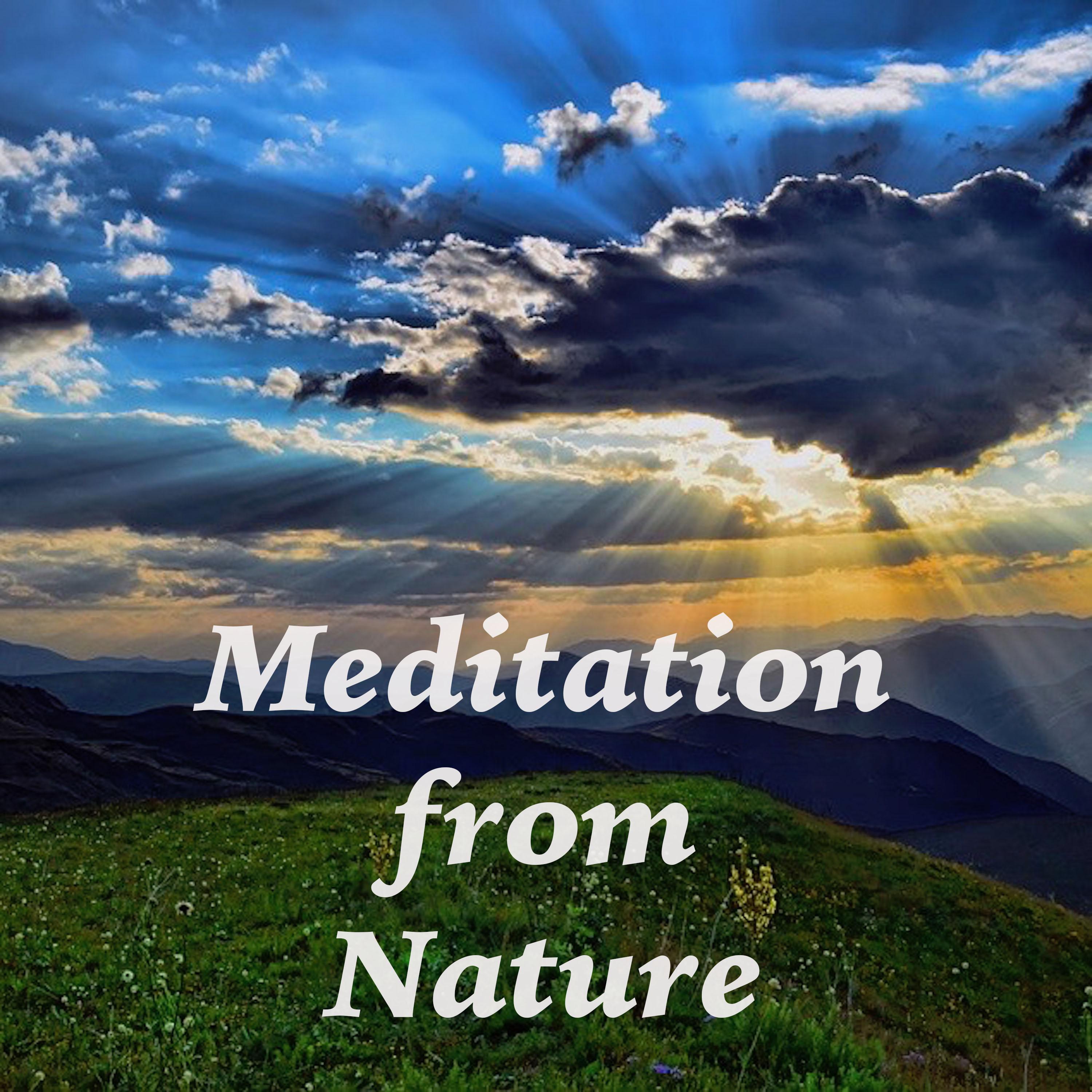 13 Zen Music Meditation Sounds from Nature