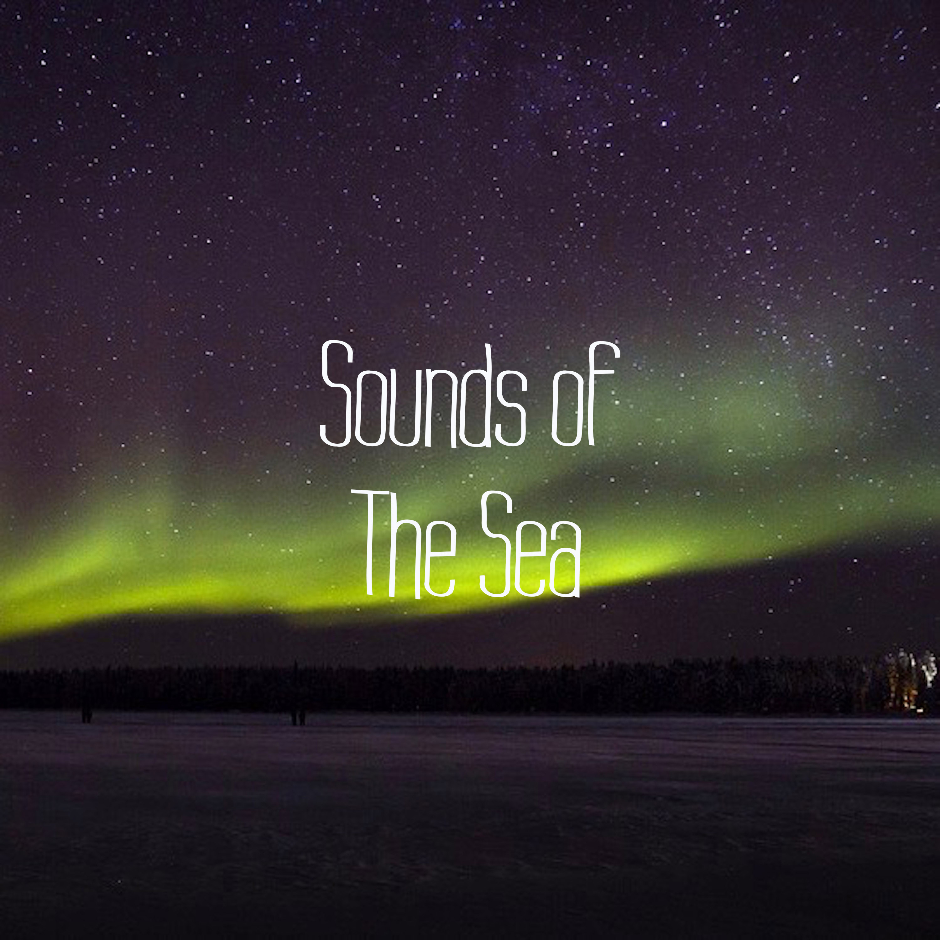 11 Sounds of the Sea and Rainfall Tracks