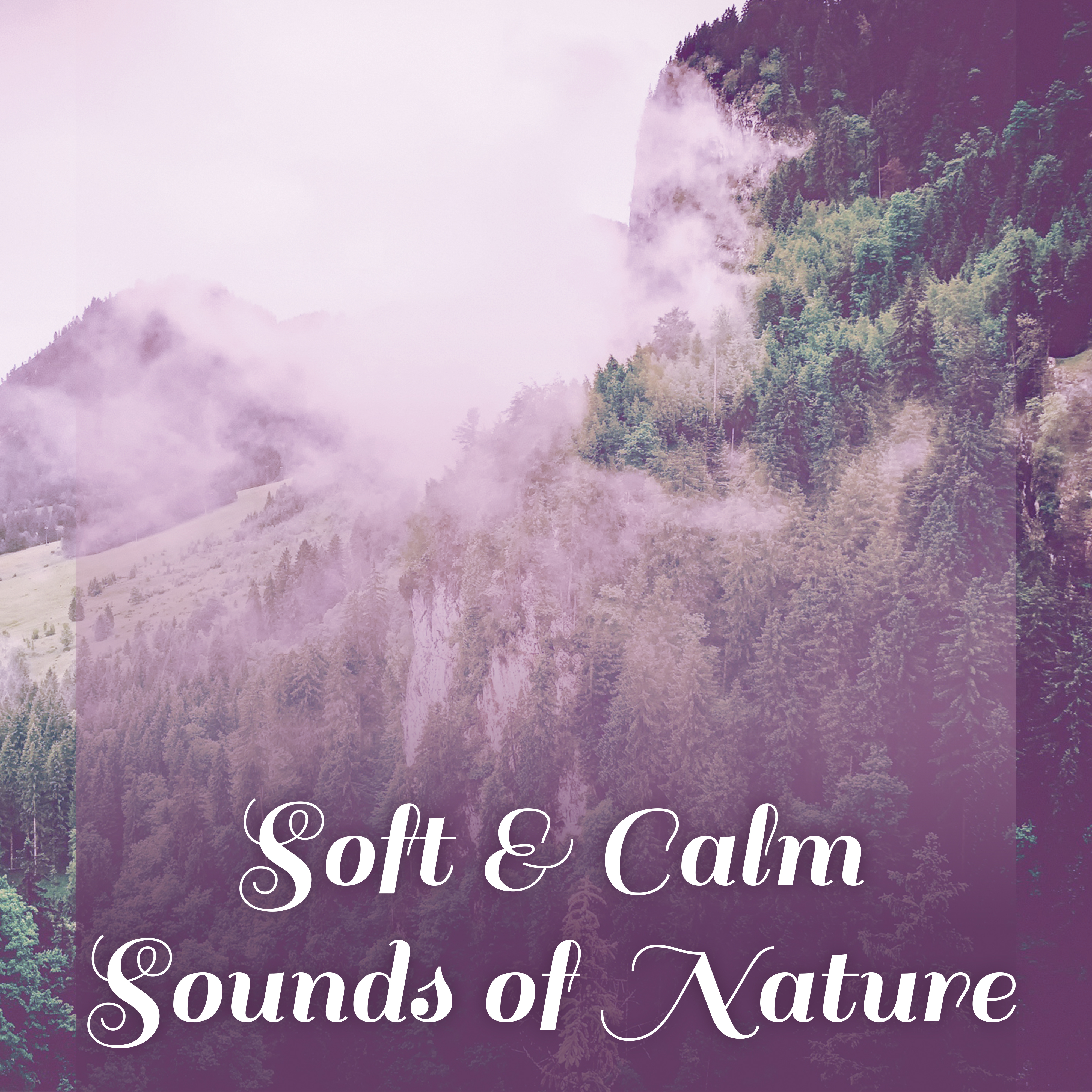 Soft  Calm Sounds of Nature  Rest  Relax, Easy Listening, New Age Relaxation, Soothing Sounds