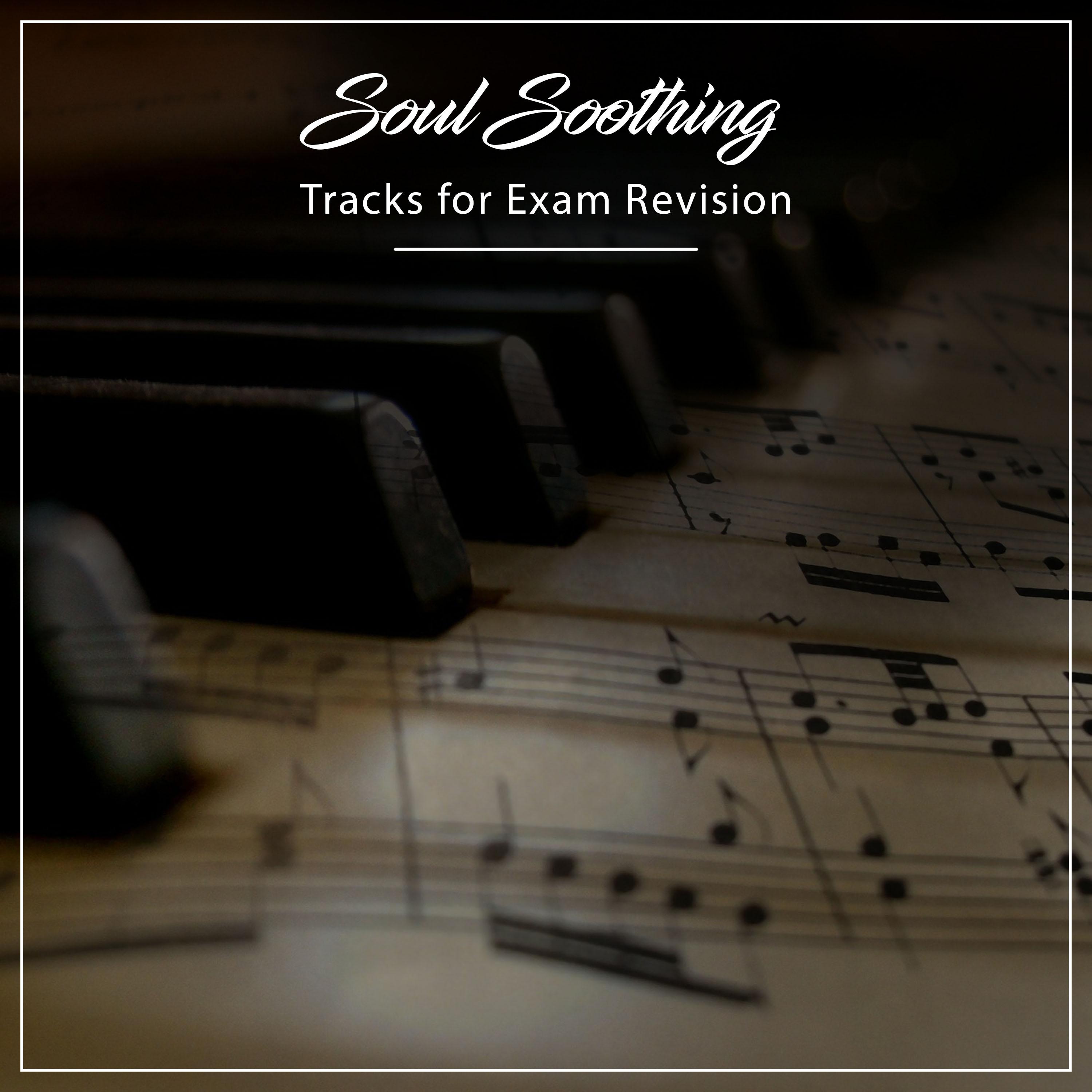 2018 Soul Soothing Tracks for Exam Revision