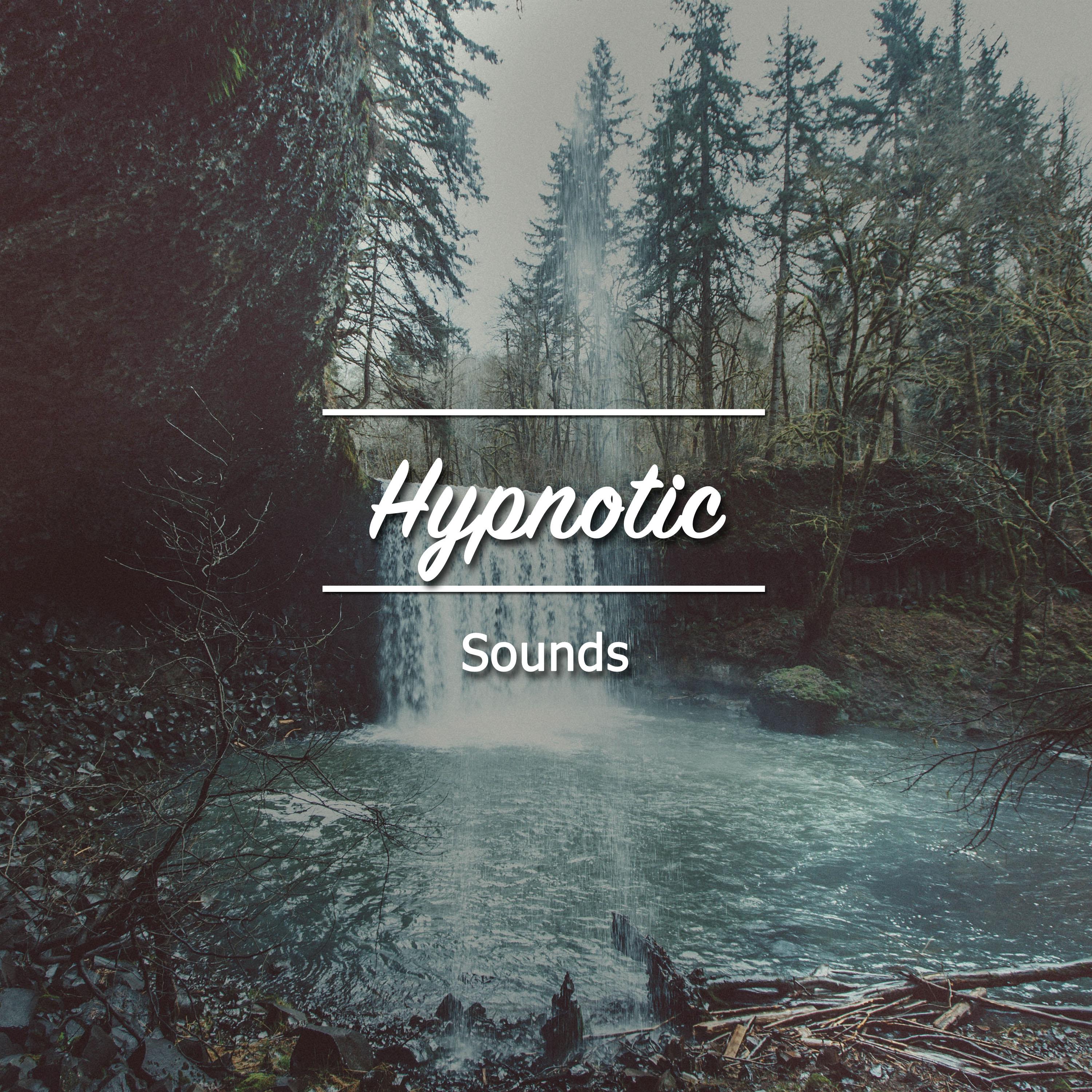 2018 Hypnotic Sounds