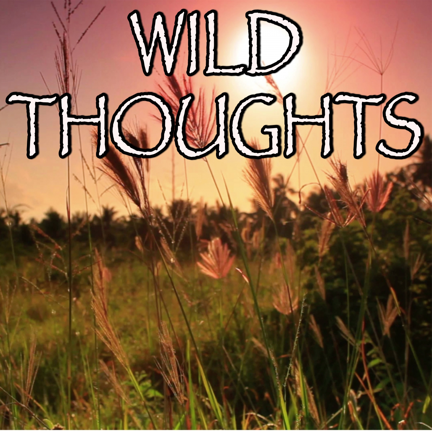 Wild Thoughts - Tribute to DJ Khaled and Rihanna and Bryson Tiller (Instrumental Version)