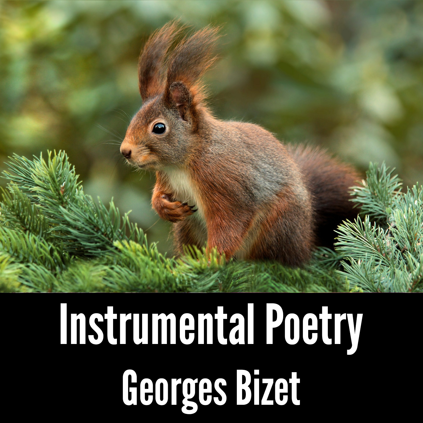 Instrumental Poetry: Georges Bizet