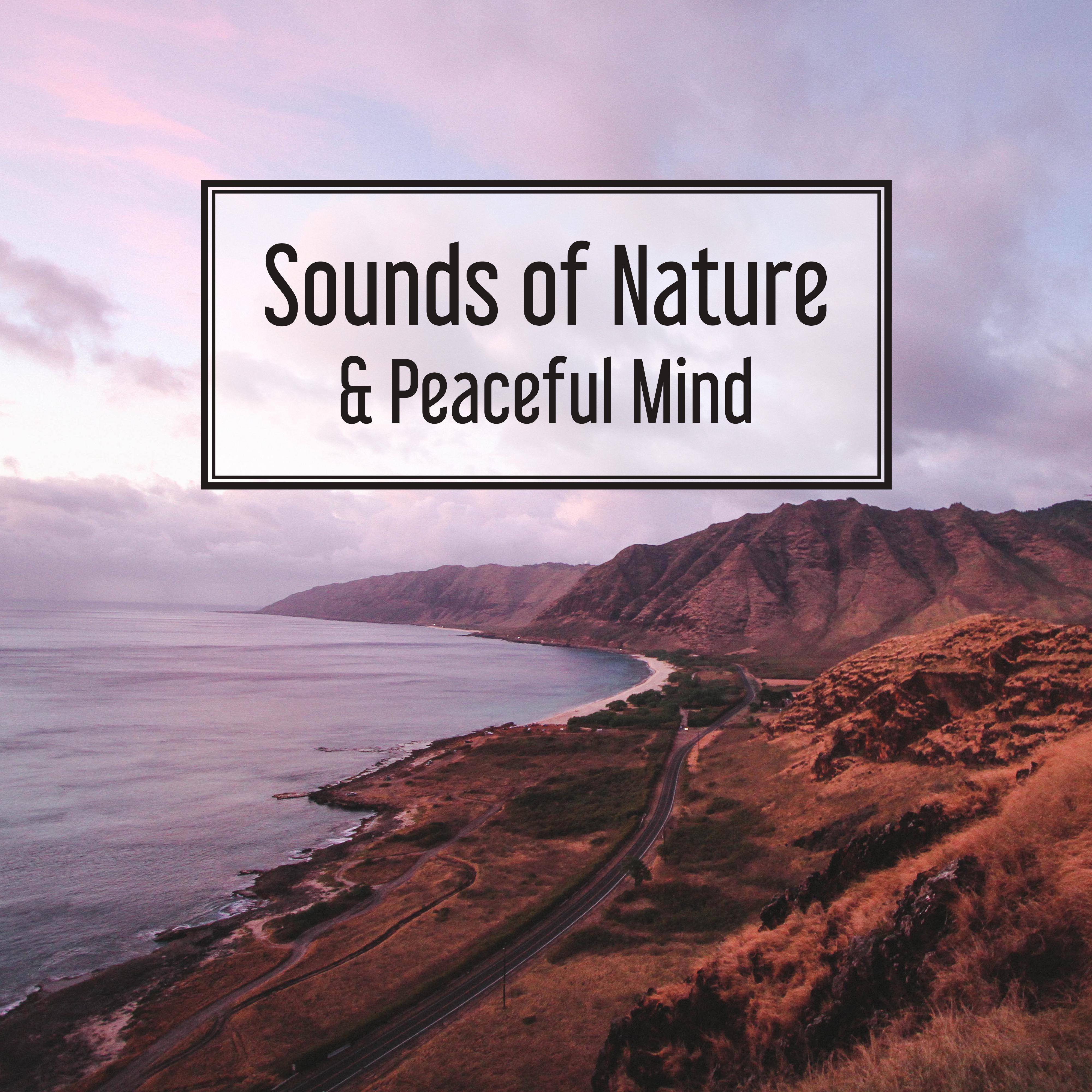 Sounds of Nature  Peaceful Mind  Soft Music to Rest, Asian Zen, Relief, Calm Down, Zen, Calming Melodies for Listening