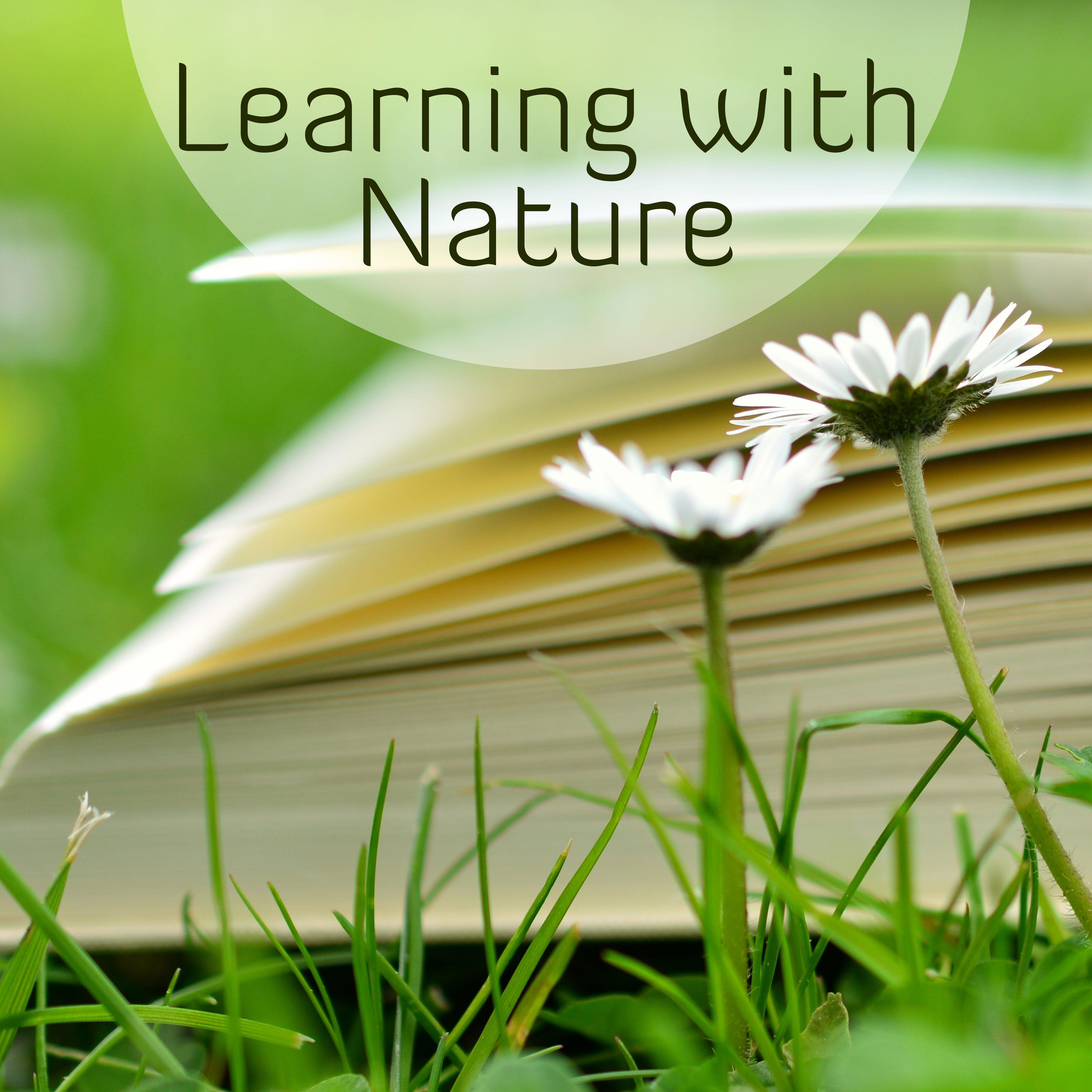Learning with Nature  Better Memory, Deep Concentration, Study Music, Peaceful Music, Stress Relief, Brain Power, Soft Nature Sounds Help Pass Exam