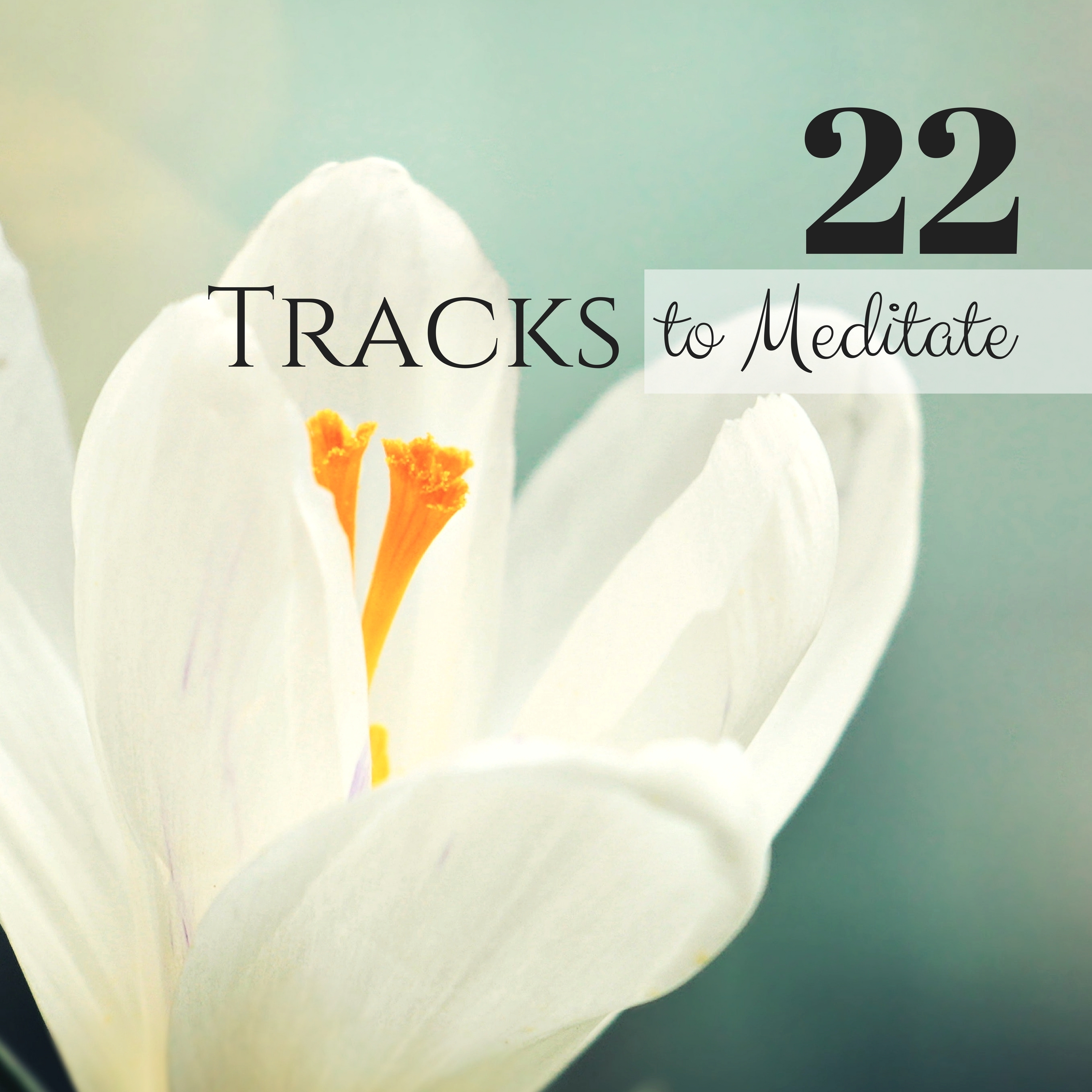 22 Tracks to Meditate - Spiritual New Age Music for Buddhist Practice