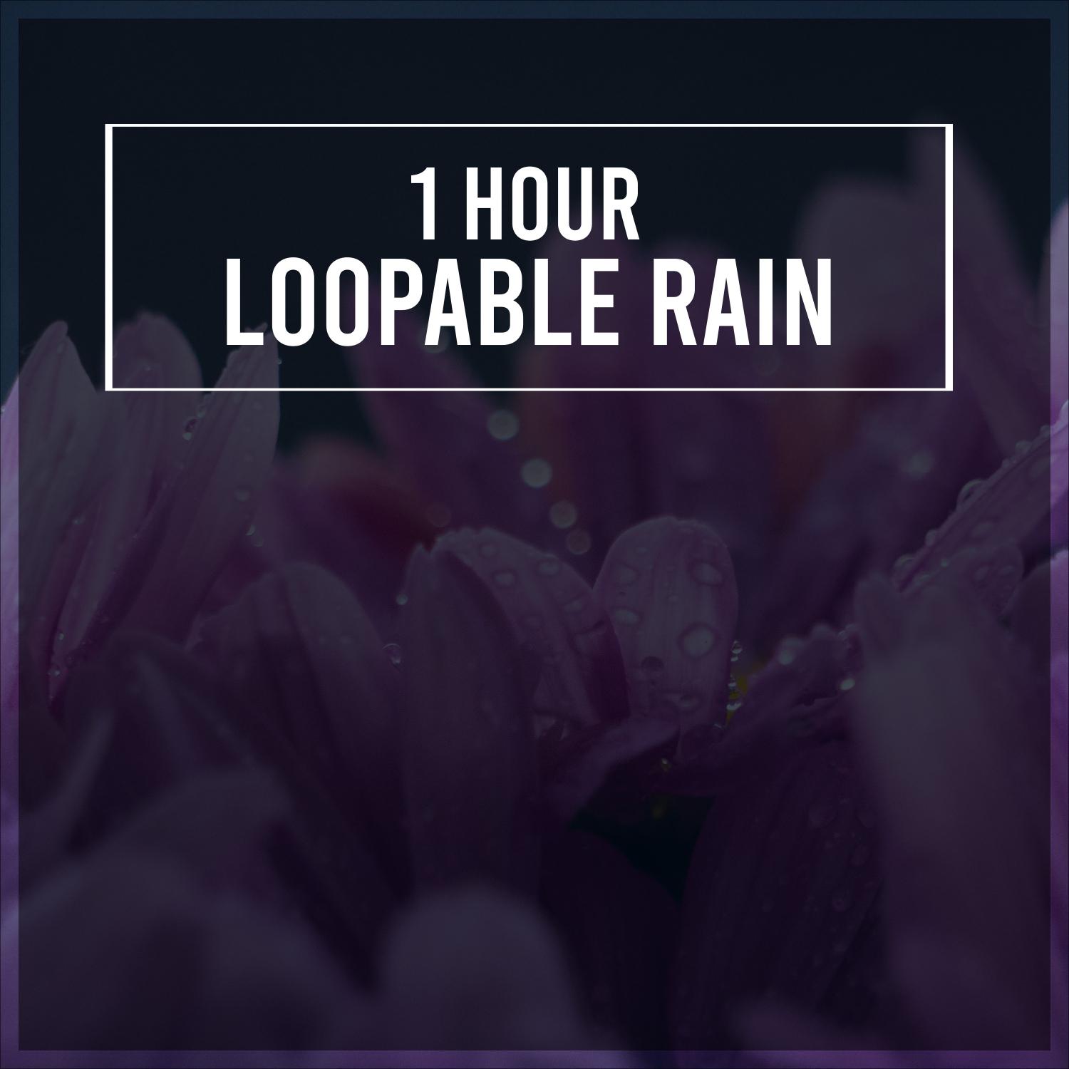 1 Hour of Loopable Rain, White Noise for Sleep