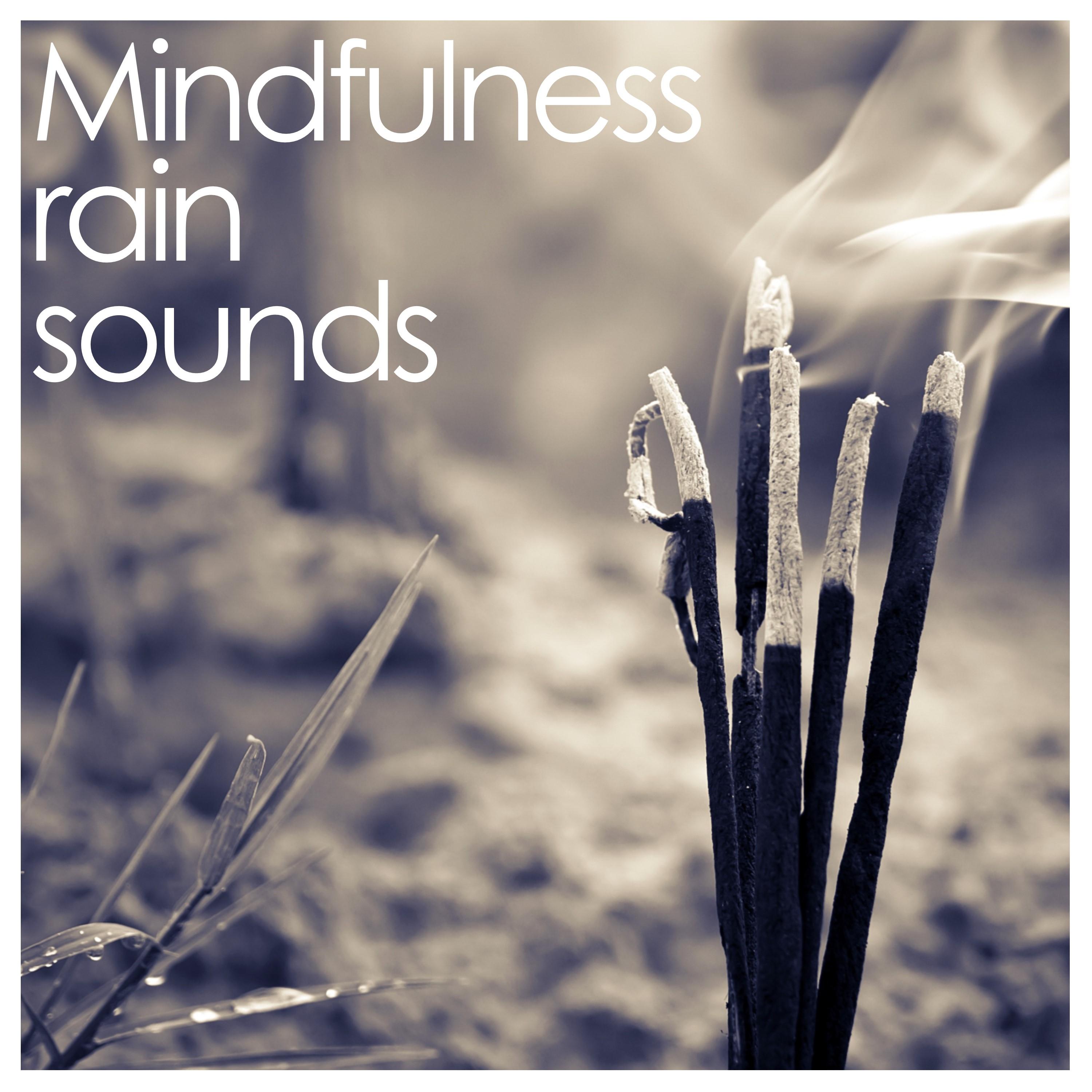 1 Hour Mindfulness Rain Sounds - White Noise Ambience for Relaxation and Meditation