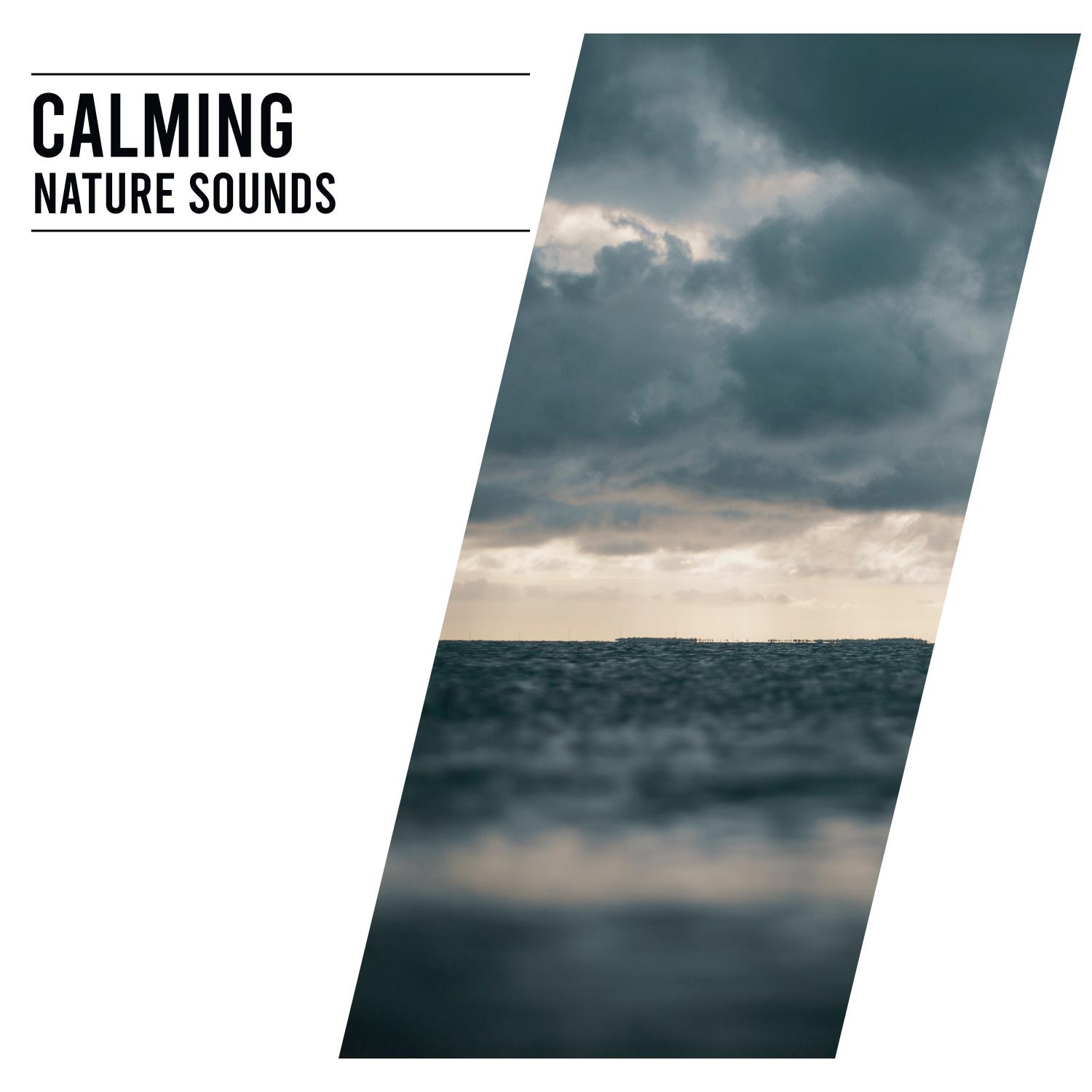 14 Meditation Sounds - Ambient and Calming Nature Sounds