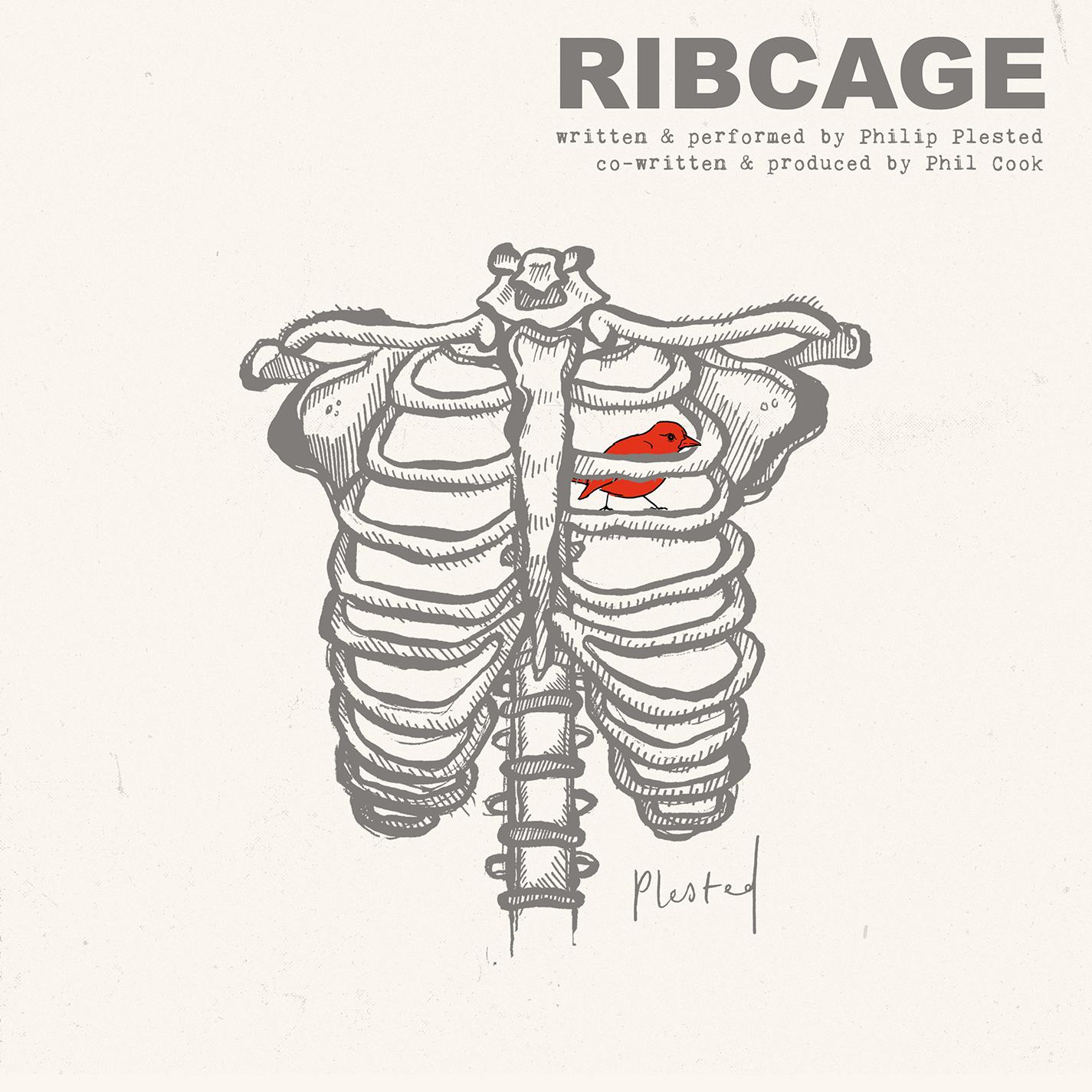 Ribcage