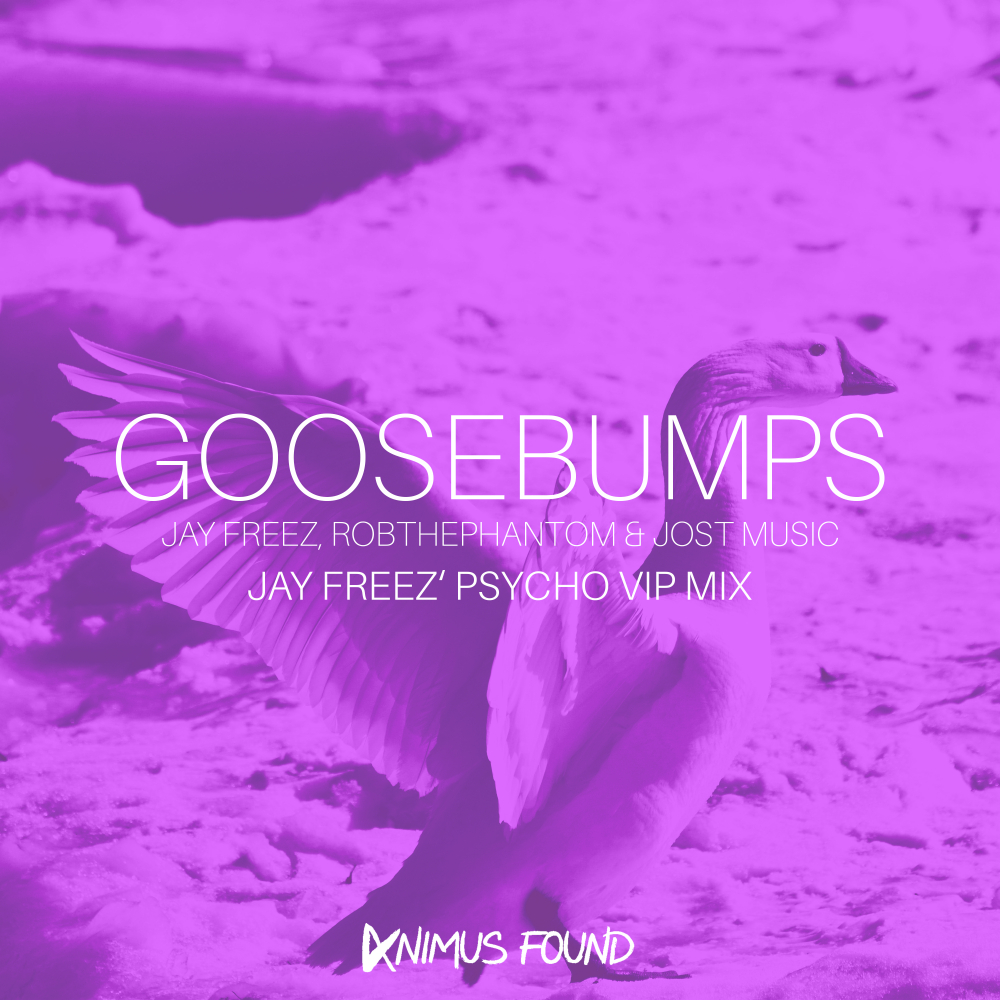 Goosebumps (Jay Freez' Psycho VIP Mix)