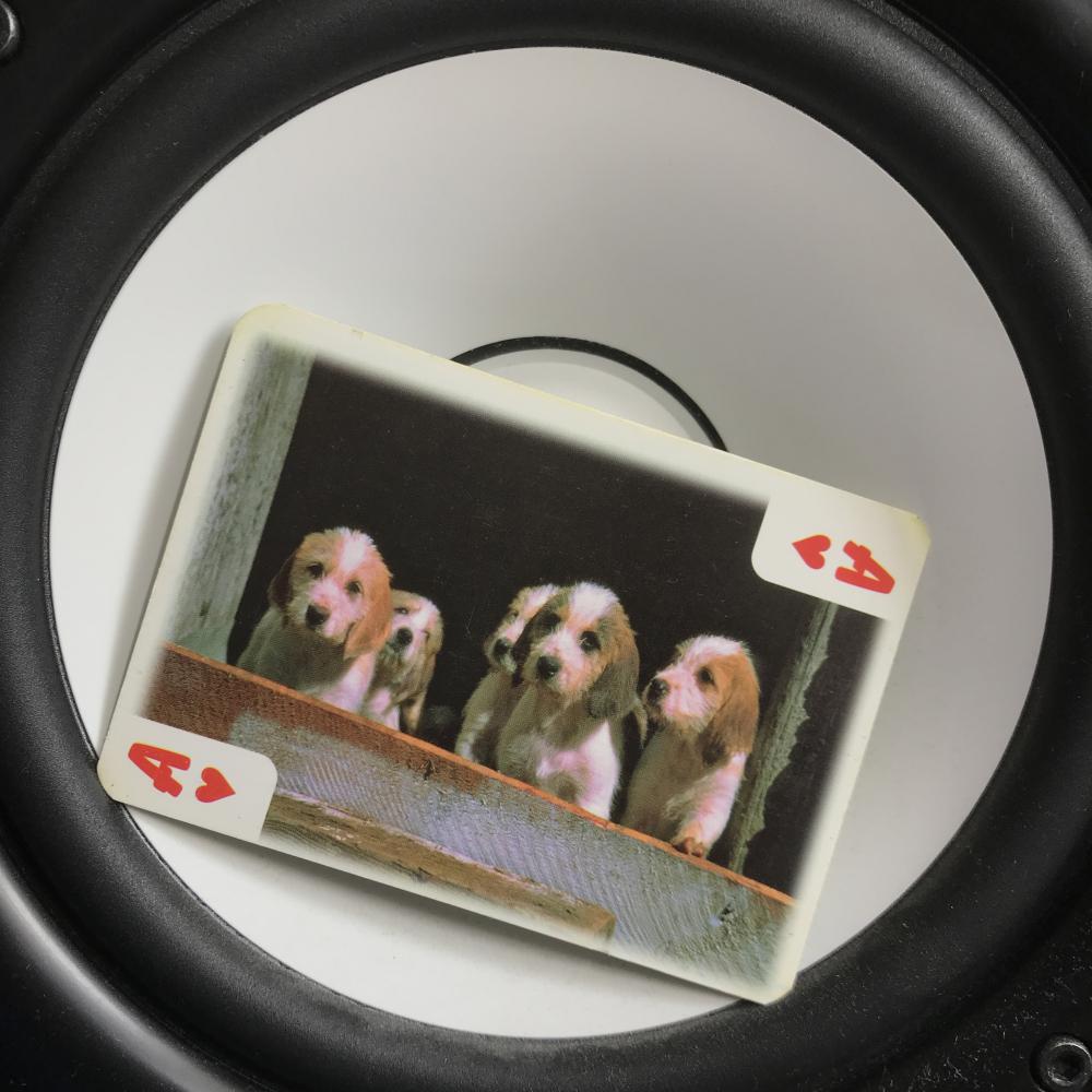 Fringe (Original Mix)