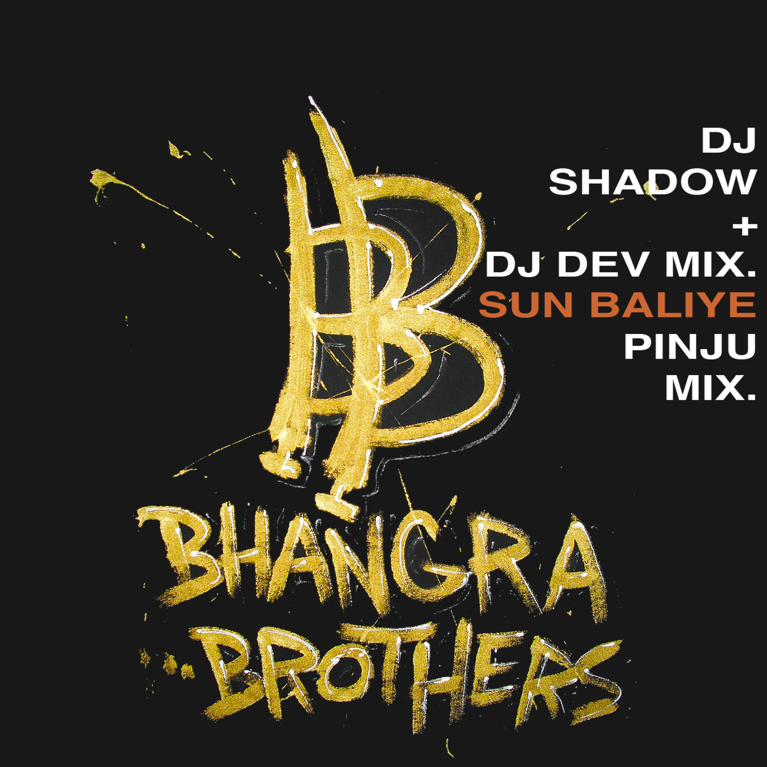 Sun Baliye (DJ Shadow & DJ Dev Mix)