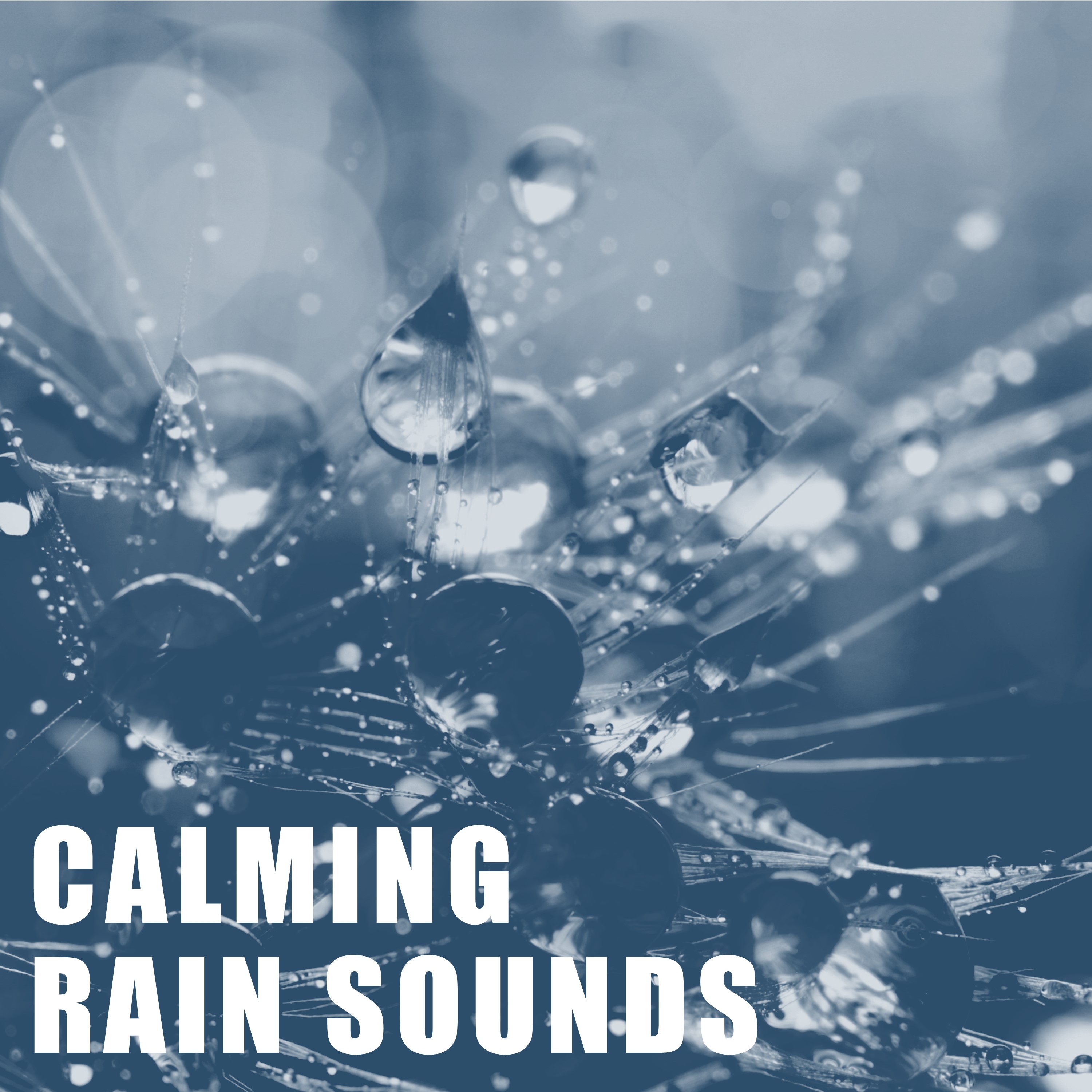 19 Best Rain And Nature Sounds with no Fades