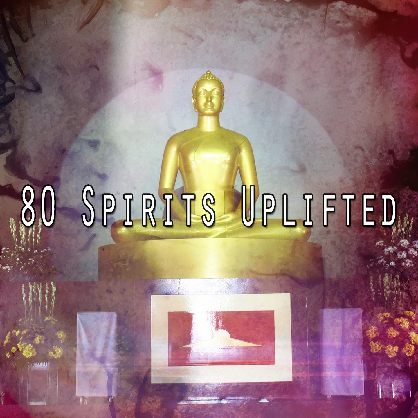 80 Spirits Uplifted