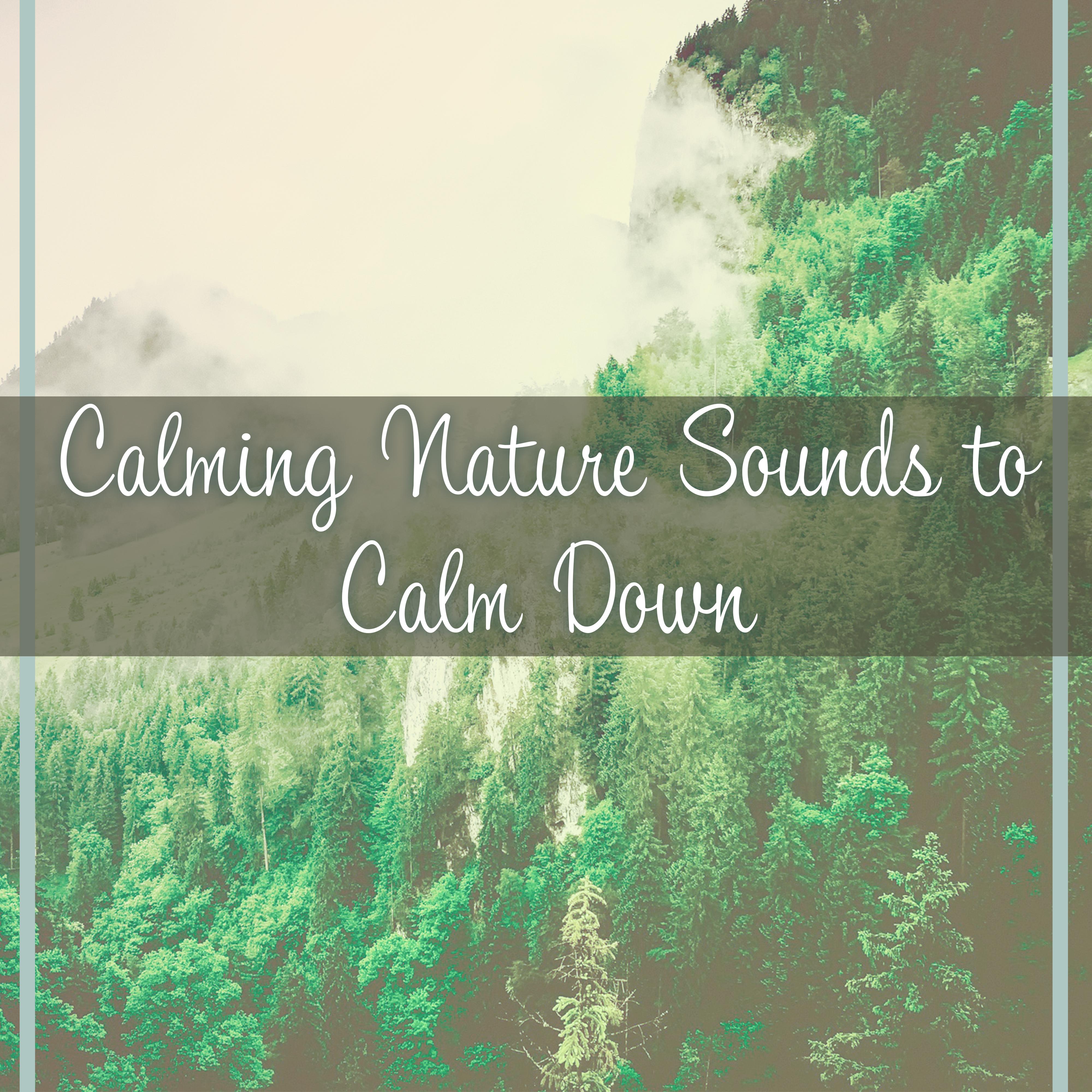 Calming Nature Sounds to Calm Down  Relaxing New Age Music, Stress Free, Mind Peace, Inner Silence