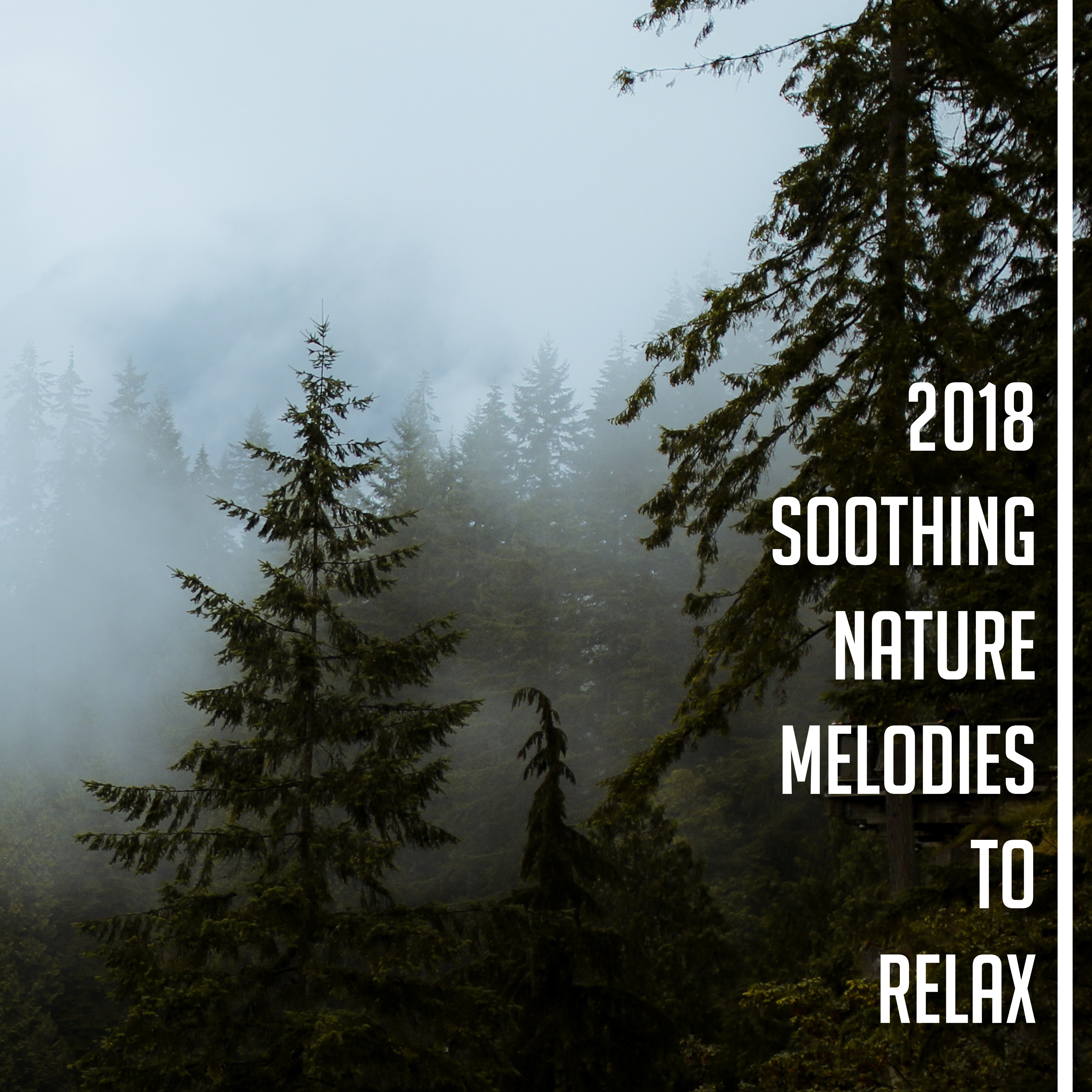 2018 Soothing Nature Melodies to Relax
