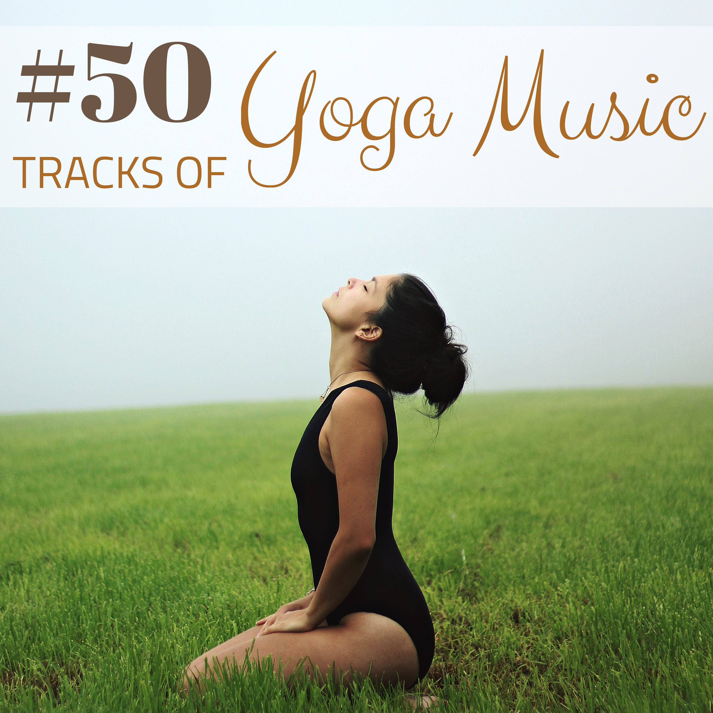 #50 Tracks of Yoga Music - Perfect Zen Songs for Buddhist Meditation, Best Soothing Nature Tracks