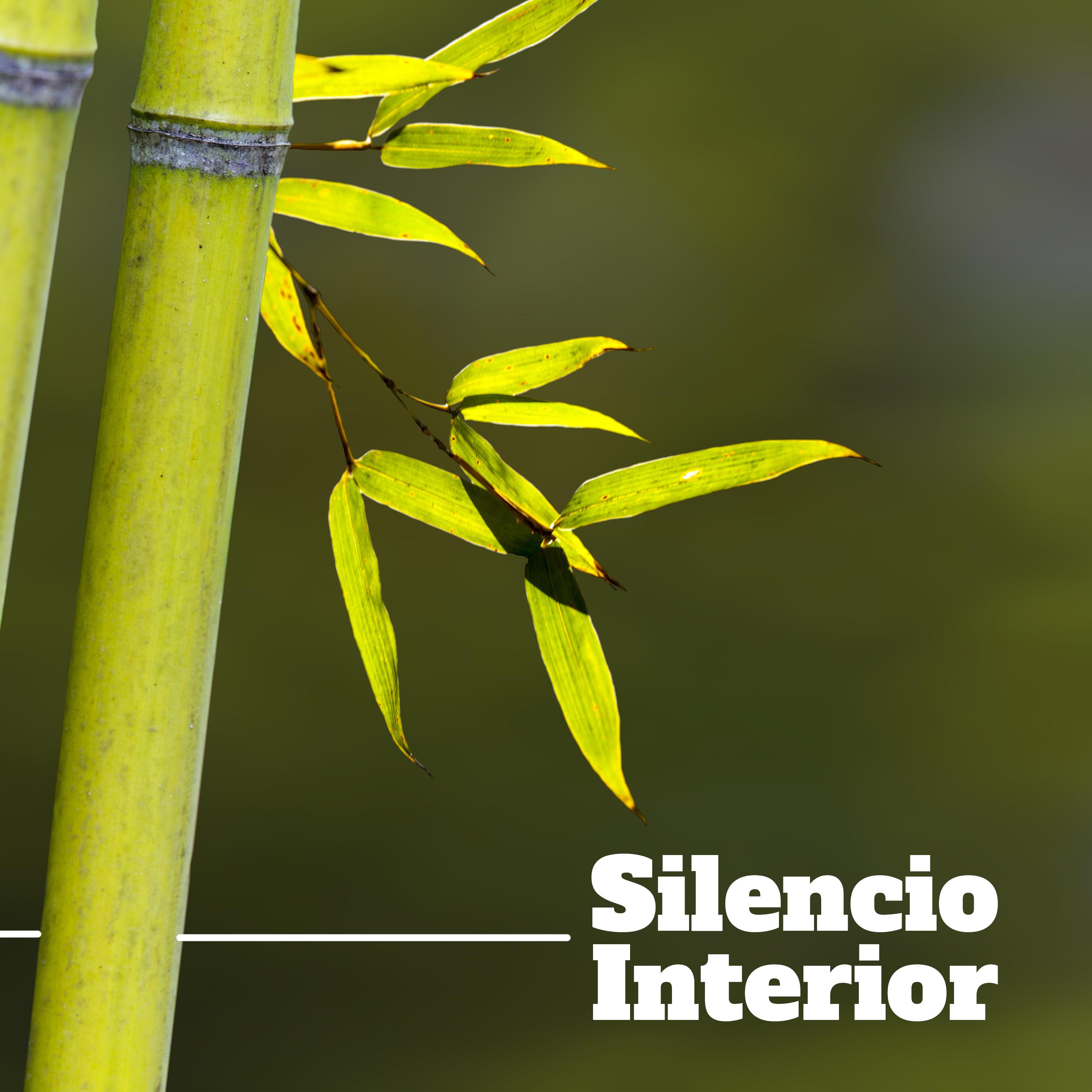 Silencio Interior: Mu sica para Descansar y Meditar, Musica de Fondo para el Relajamiento de Mente, Cuerpo y Espi ritu