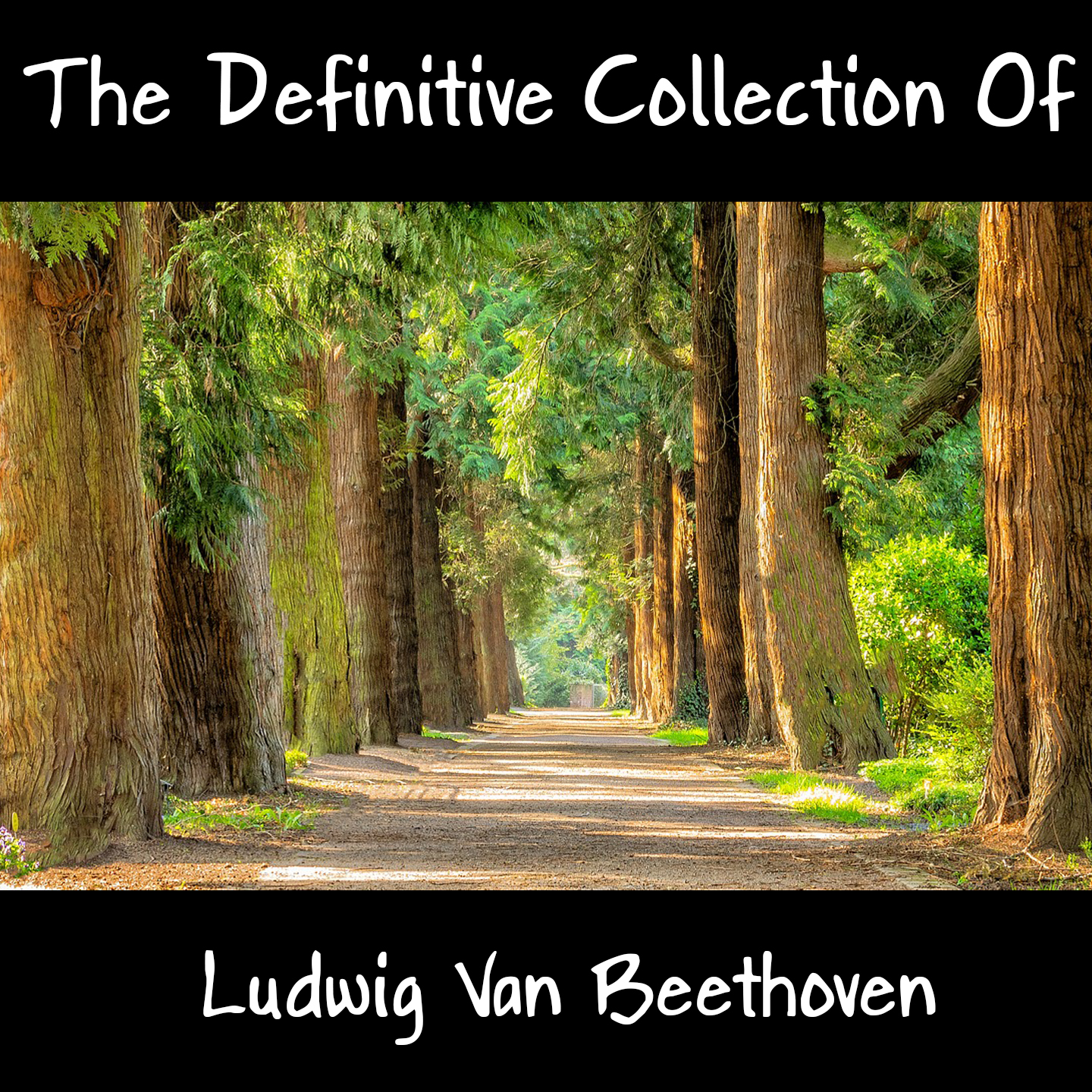 The Definitive Collection Of Ludwig Van Beethoven