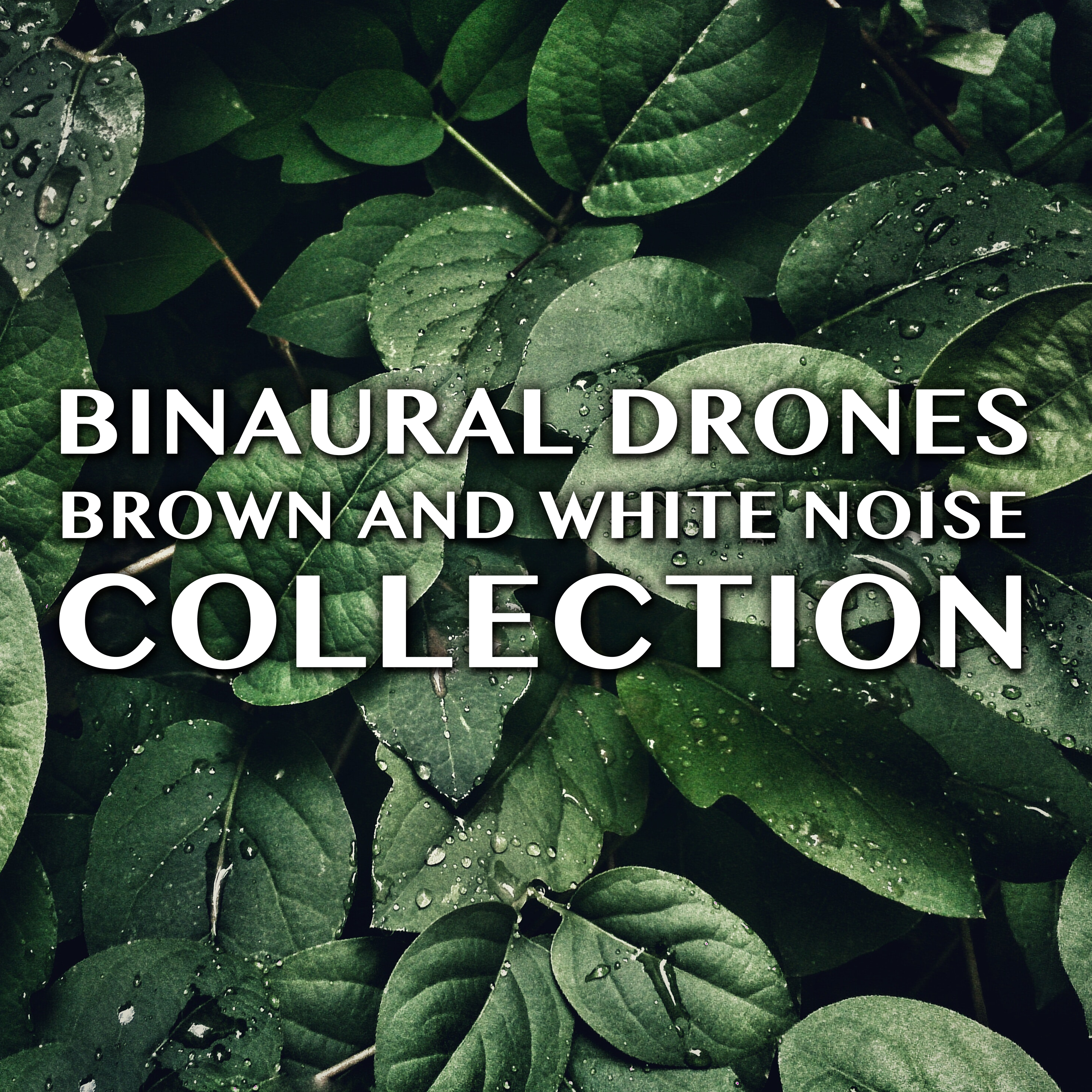 12 Binaural Drones: Brown and White Noise Collection