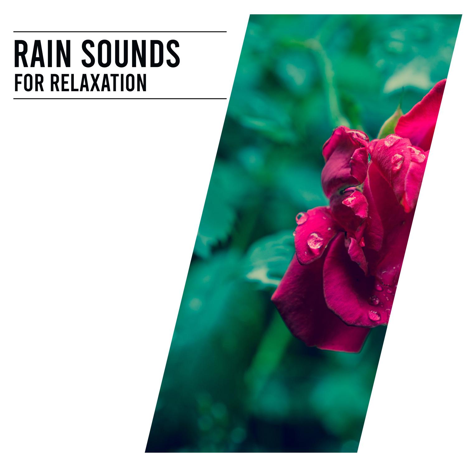 15 Peaceful Sounds of Nature - Rain Sounds for Relaxation