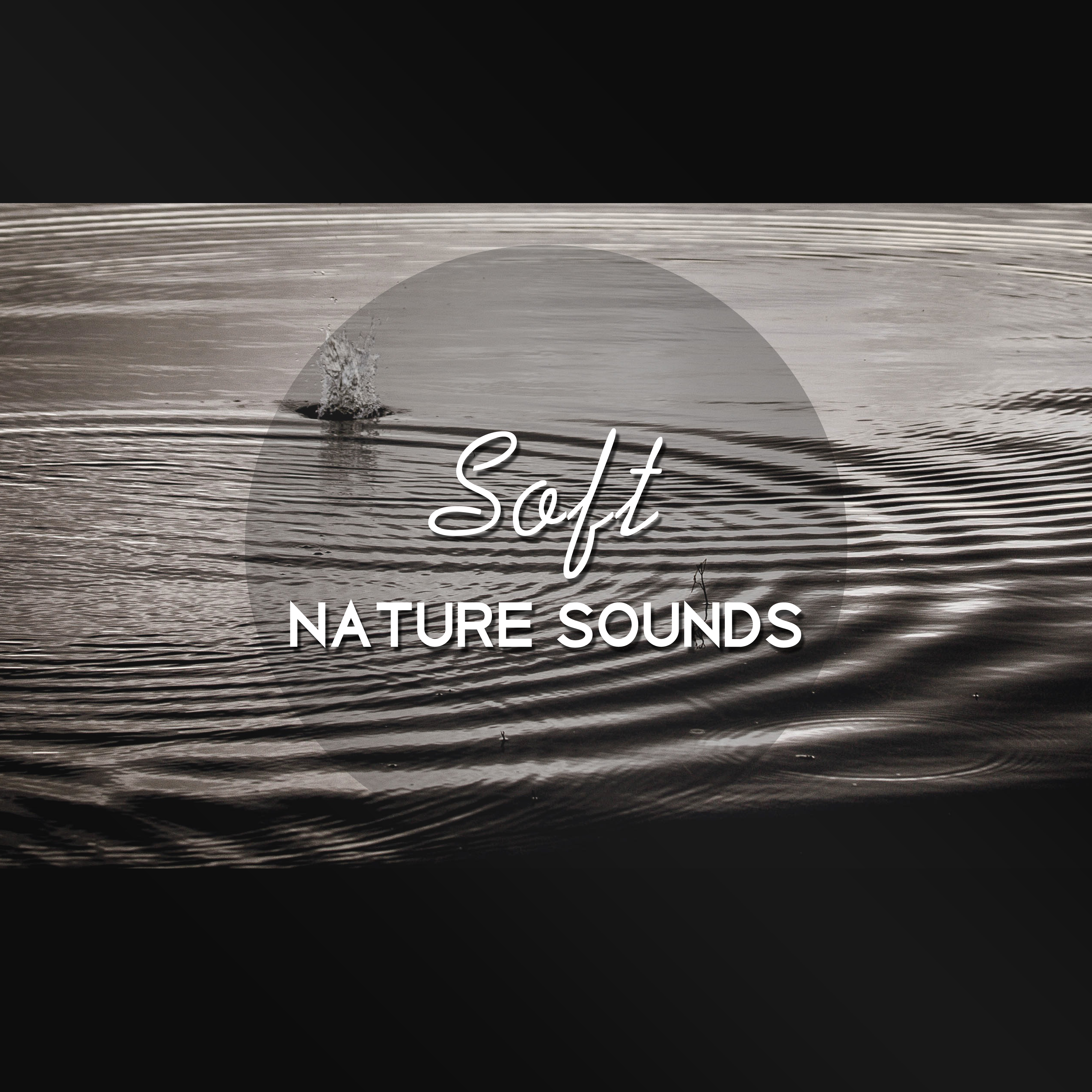 Soft Nature Sounds  Pure Relaxation, Zen Music, Sea Sounds, Harmony, Peaceful Mind, Stress Free, Calm Down, Positive Energy