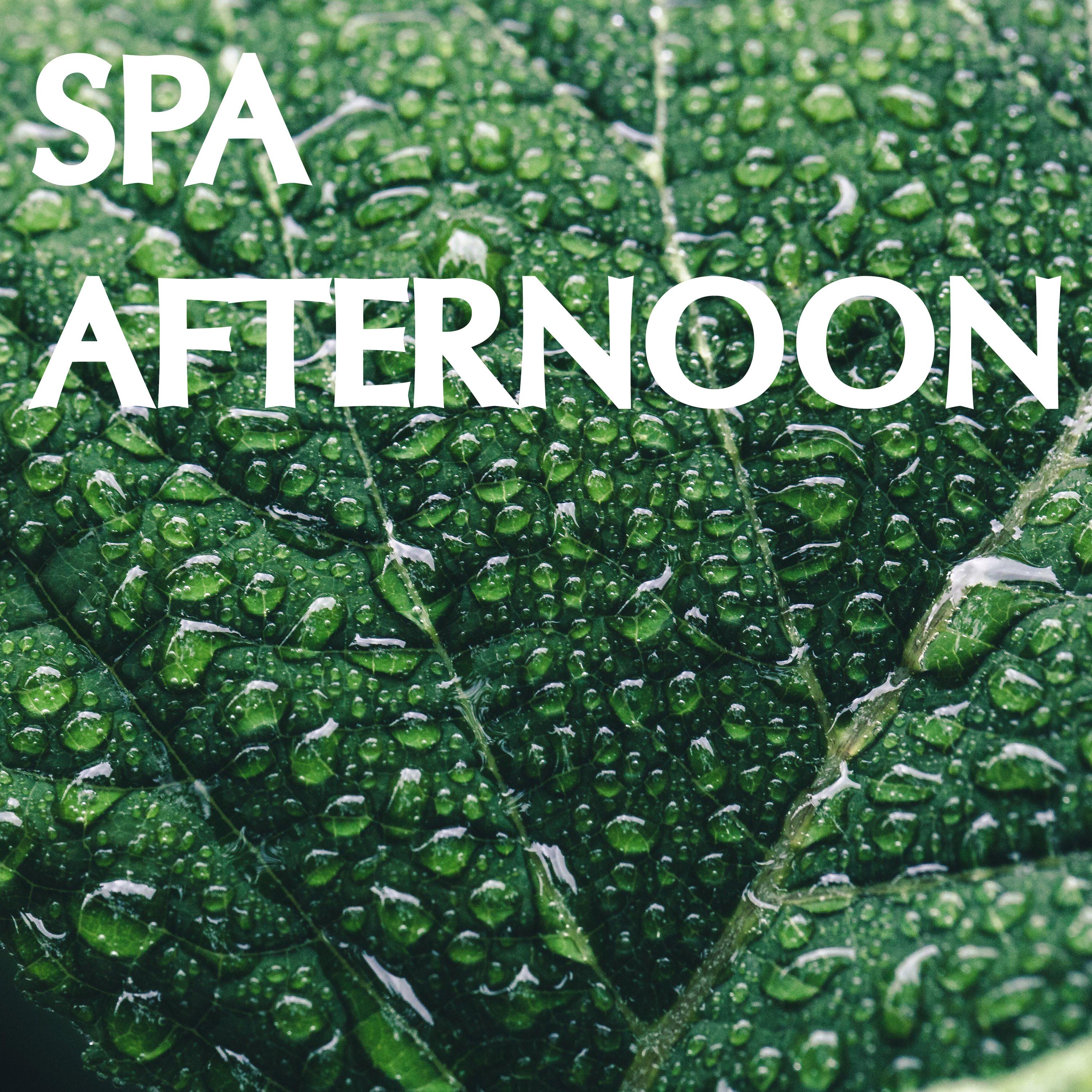 Spa Afternoon Collection - Loopable Nature Sounds for Spa Days