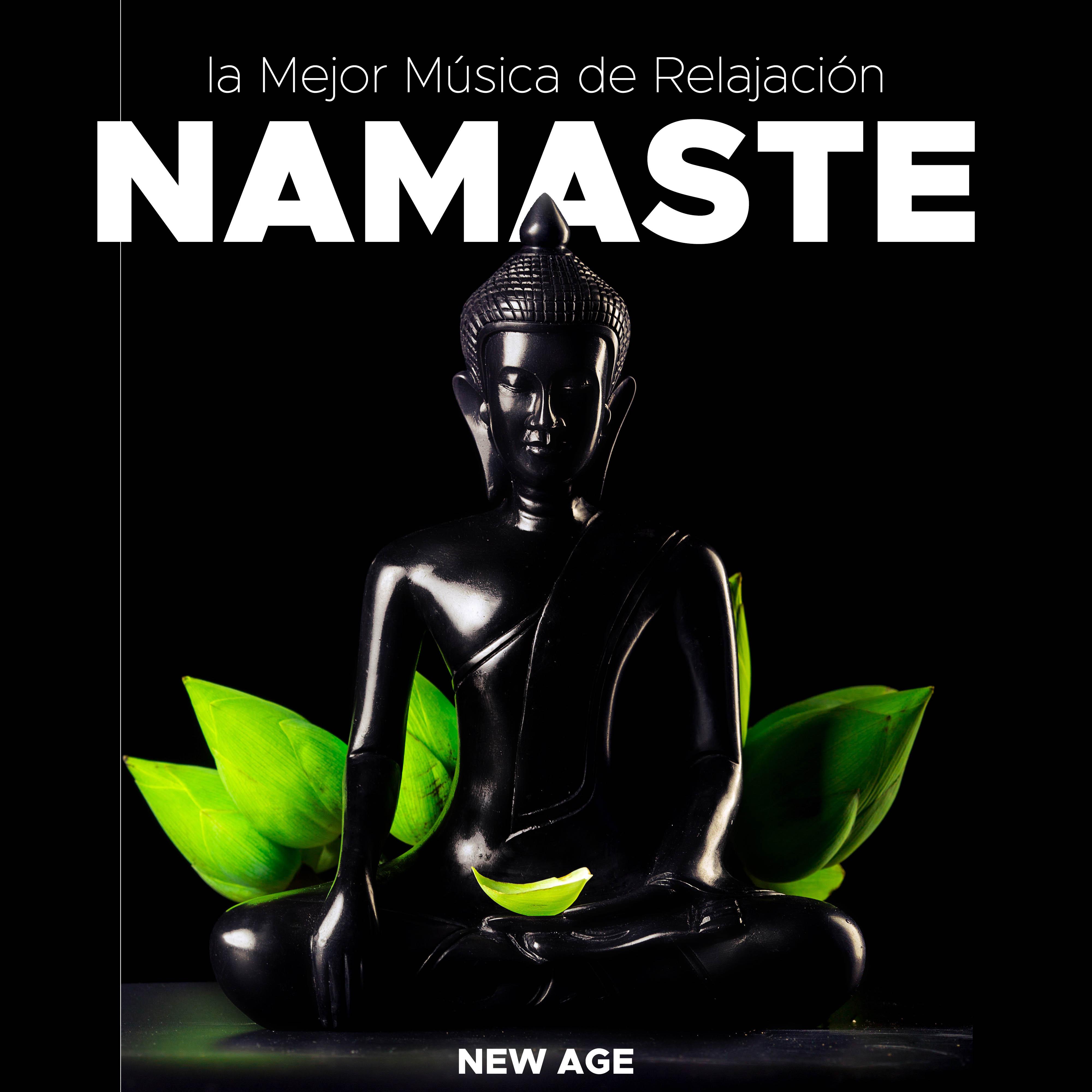 Namaste: la Mejor Mu sica de Relajacio n, Ambient, New Age, Instrumental Lluvia, Olas del Mar, Naturaleza y Ruido Blanco