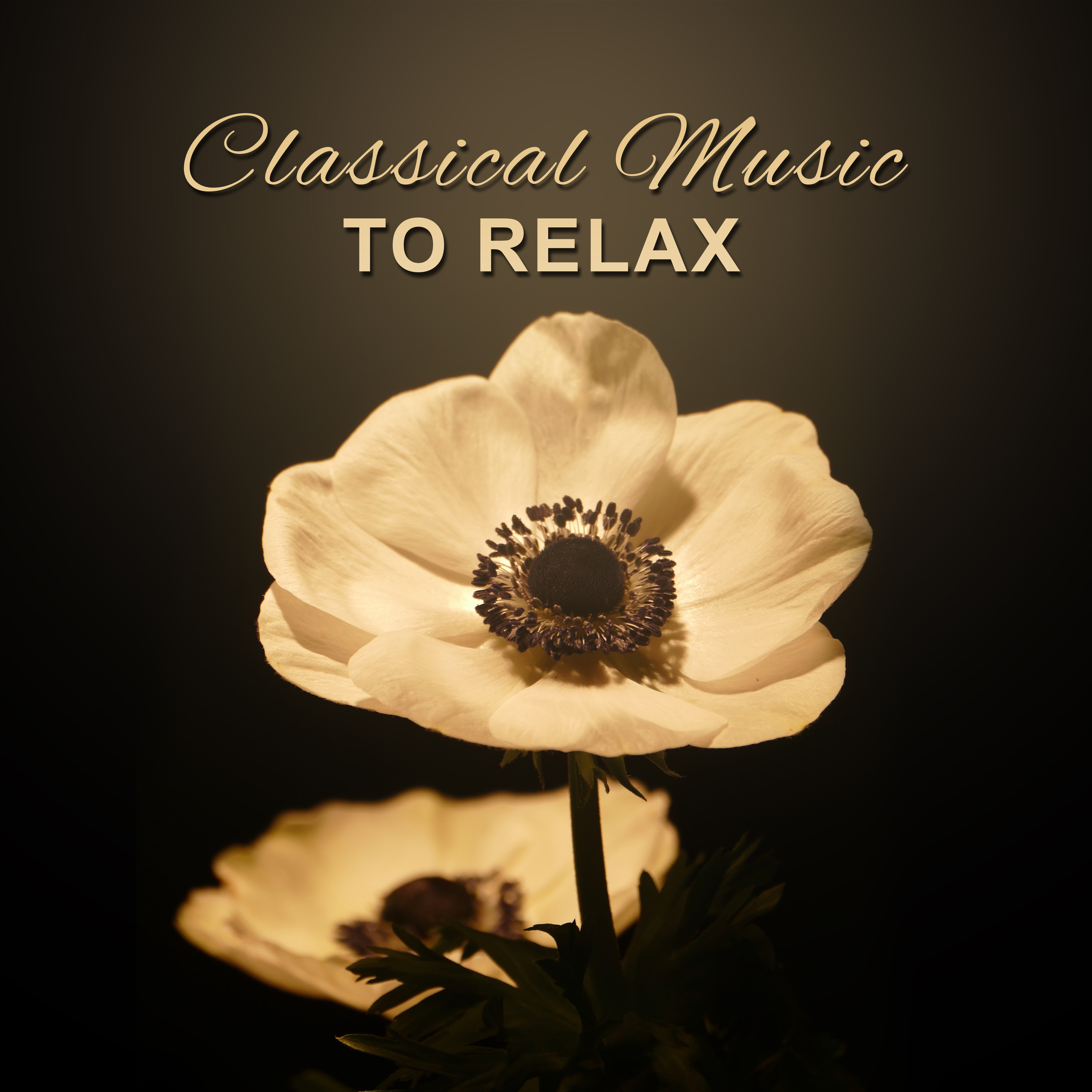 Classical Music to Relax  Rest with Great Composers, Soft Music to Calm Down, Peaceful Mind