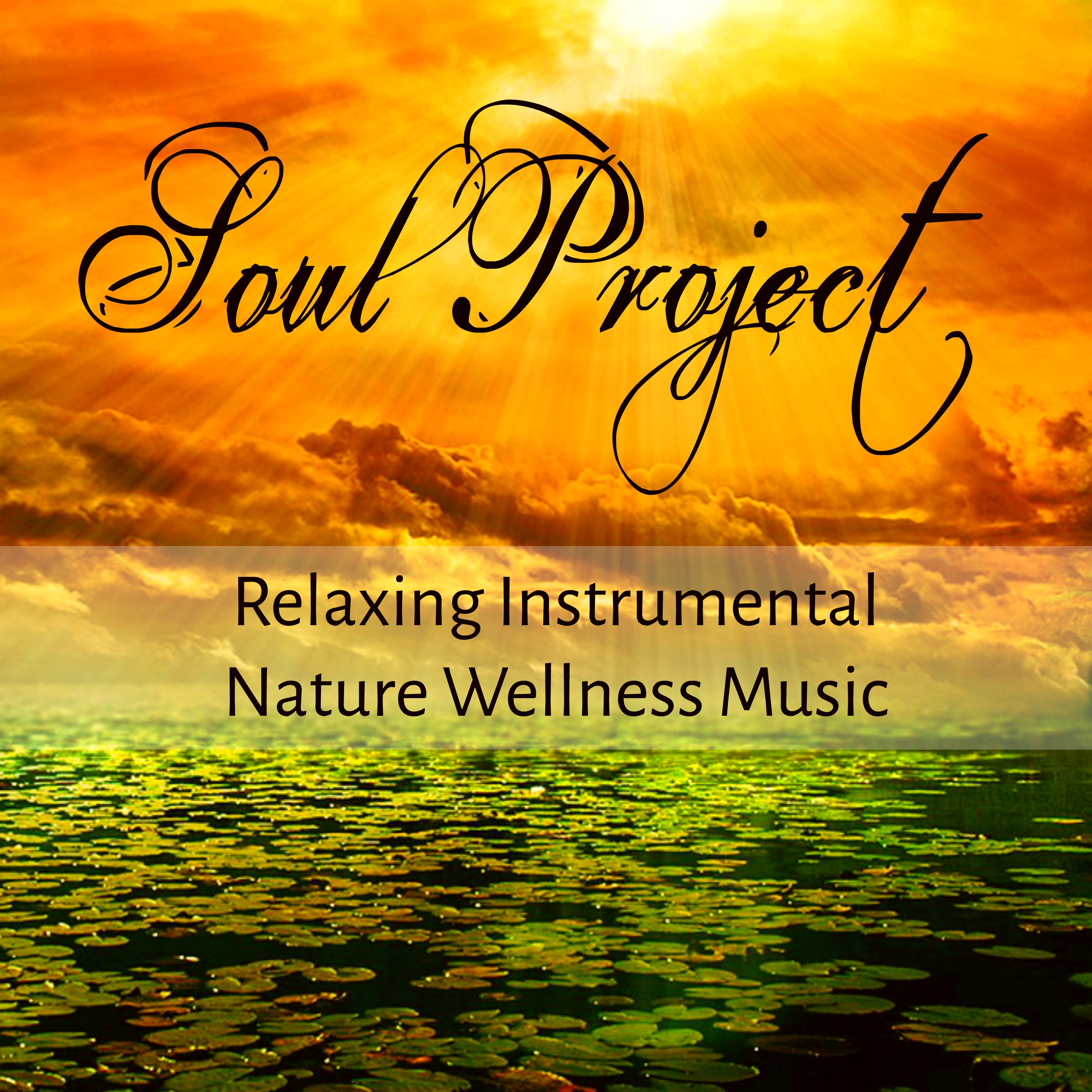 Soul Project - Relaxing Instrumental Nature Wellness Music for Pranic Energy Biofeedback Therapy and Happy Minds