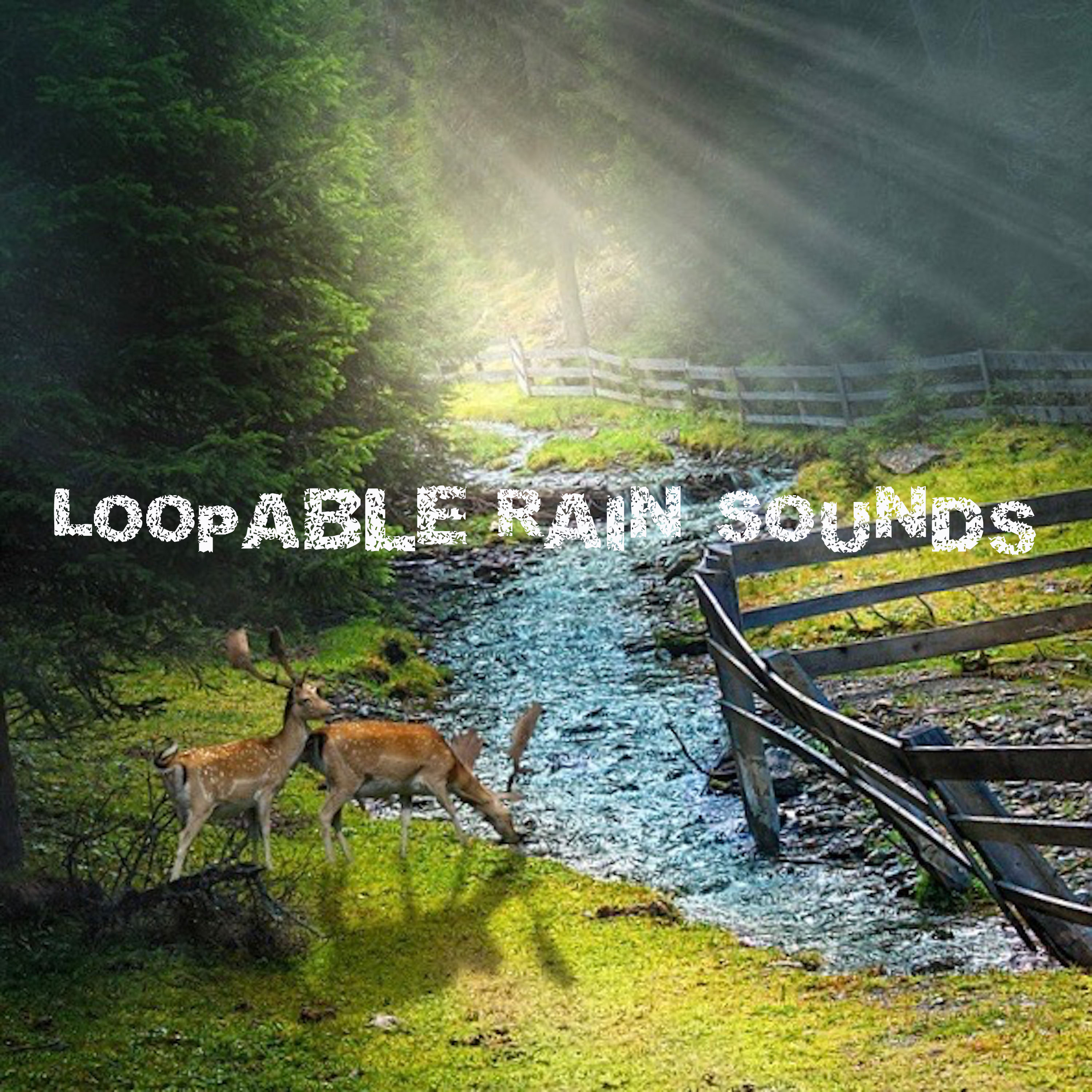 05 Loopable Rain Sounds for Meditation, Relaxation, Sleep and Wellbeing