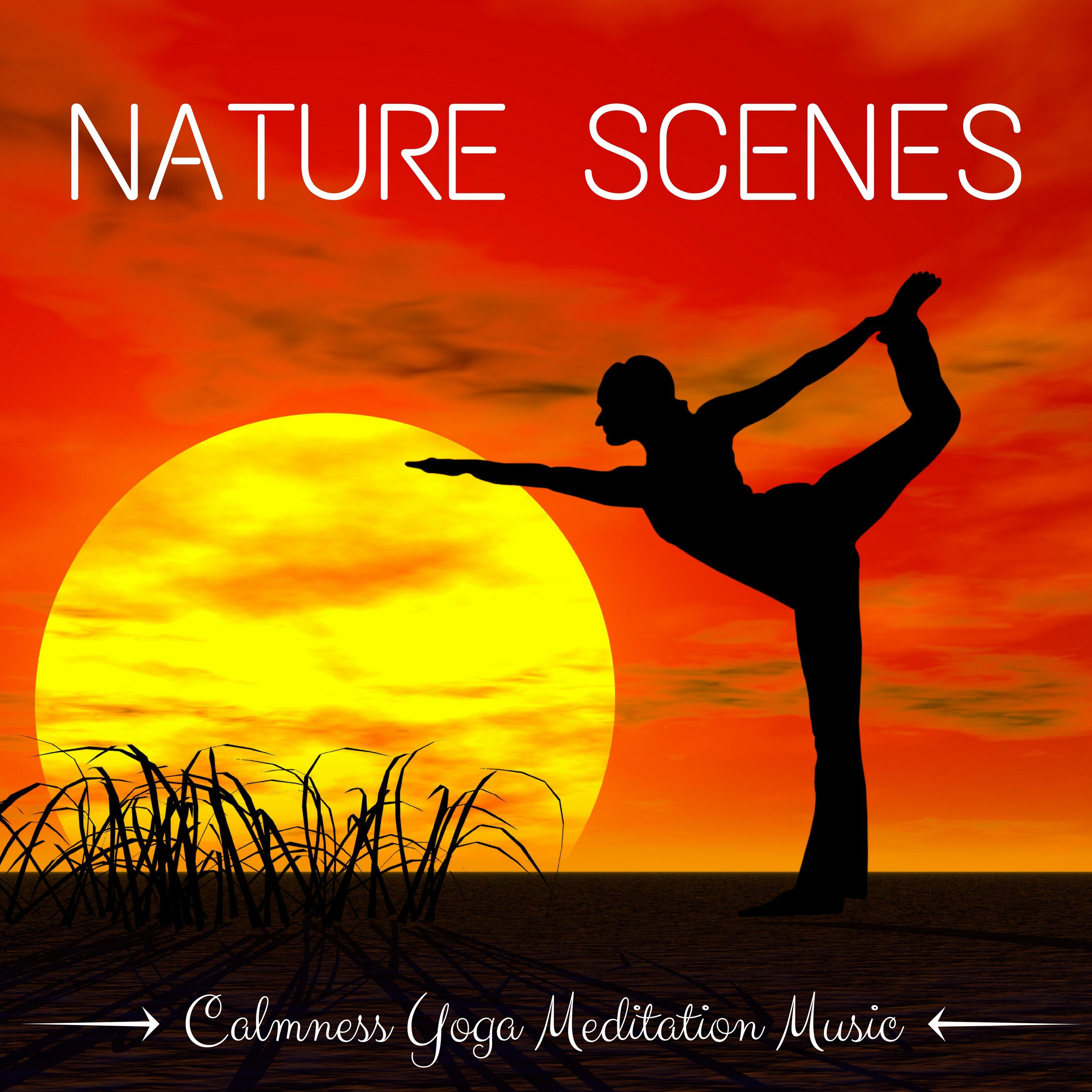 Nature Scenes: Calmness Yoga Meditation Music with Relaxing Ambient Instrumental Sounds