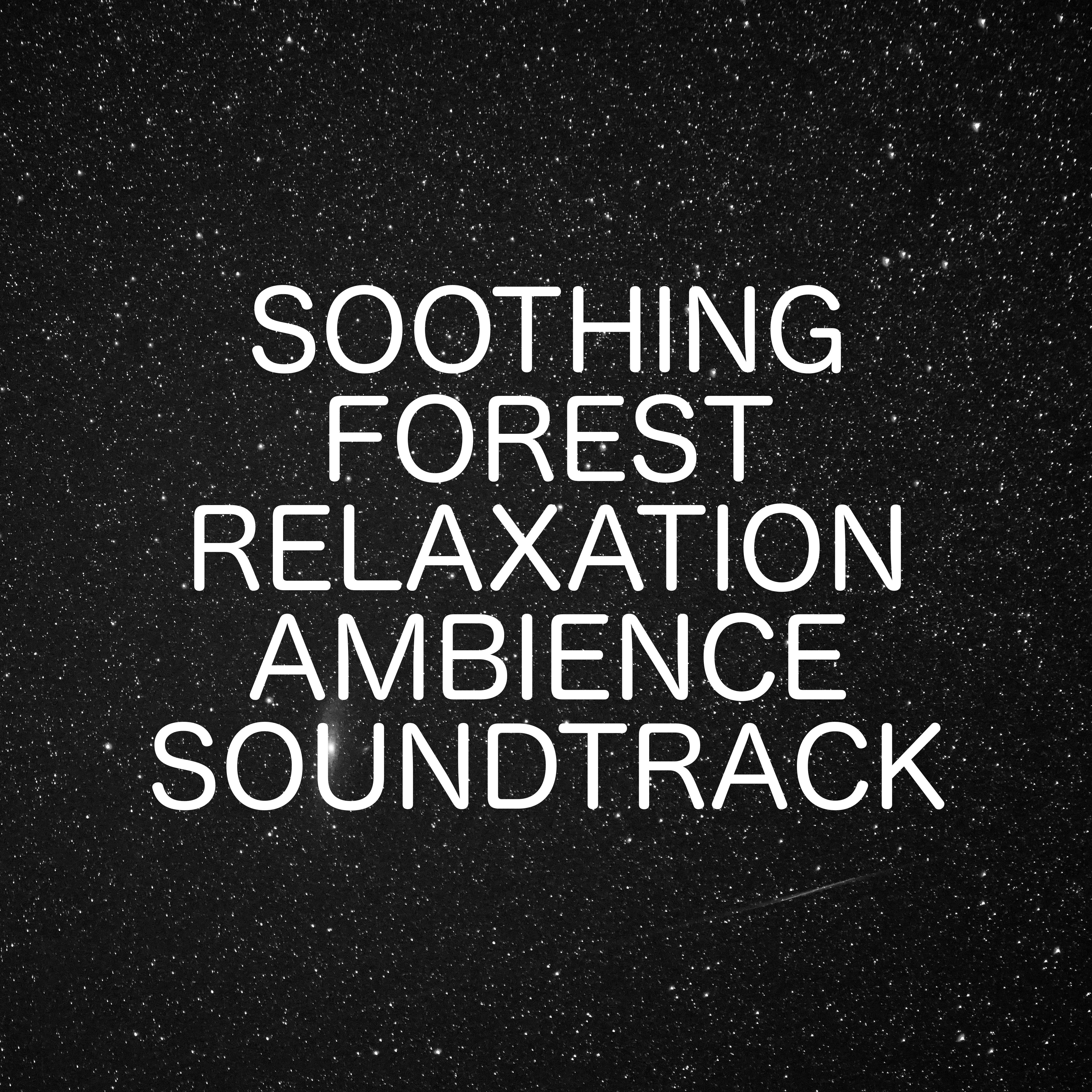 Soothing Forest Relaxation Ambience Soundtrack