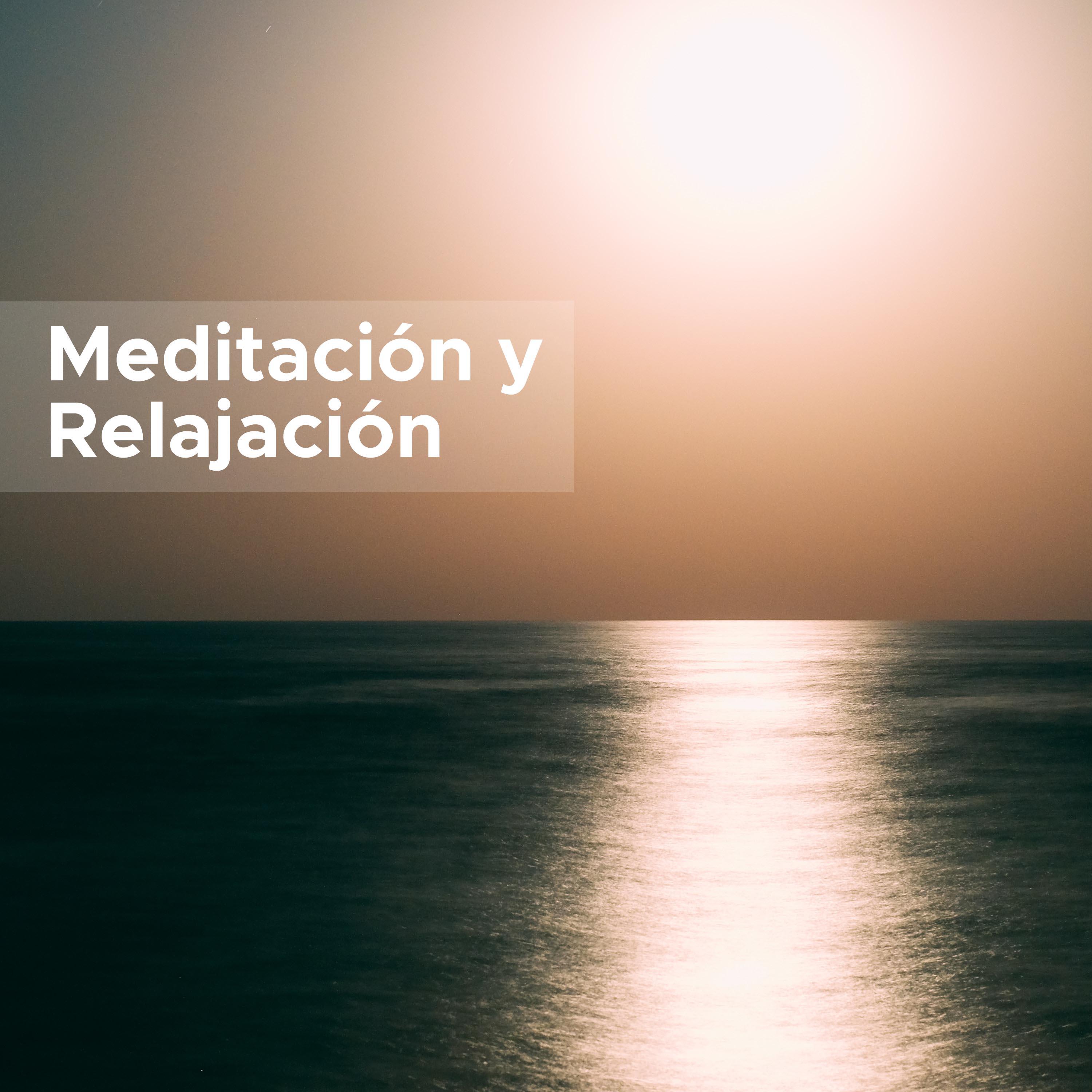 25 Canciones para la Meditacio n y la Relajacio n  Mu sica Zen para el Spa, los Masajes y la Meditacio n