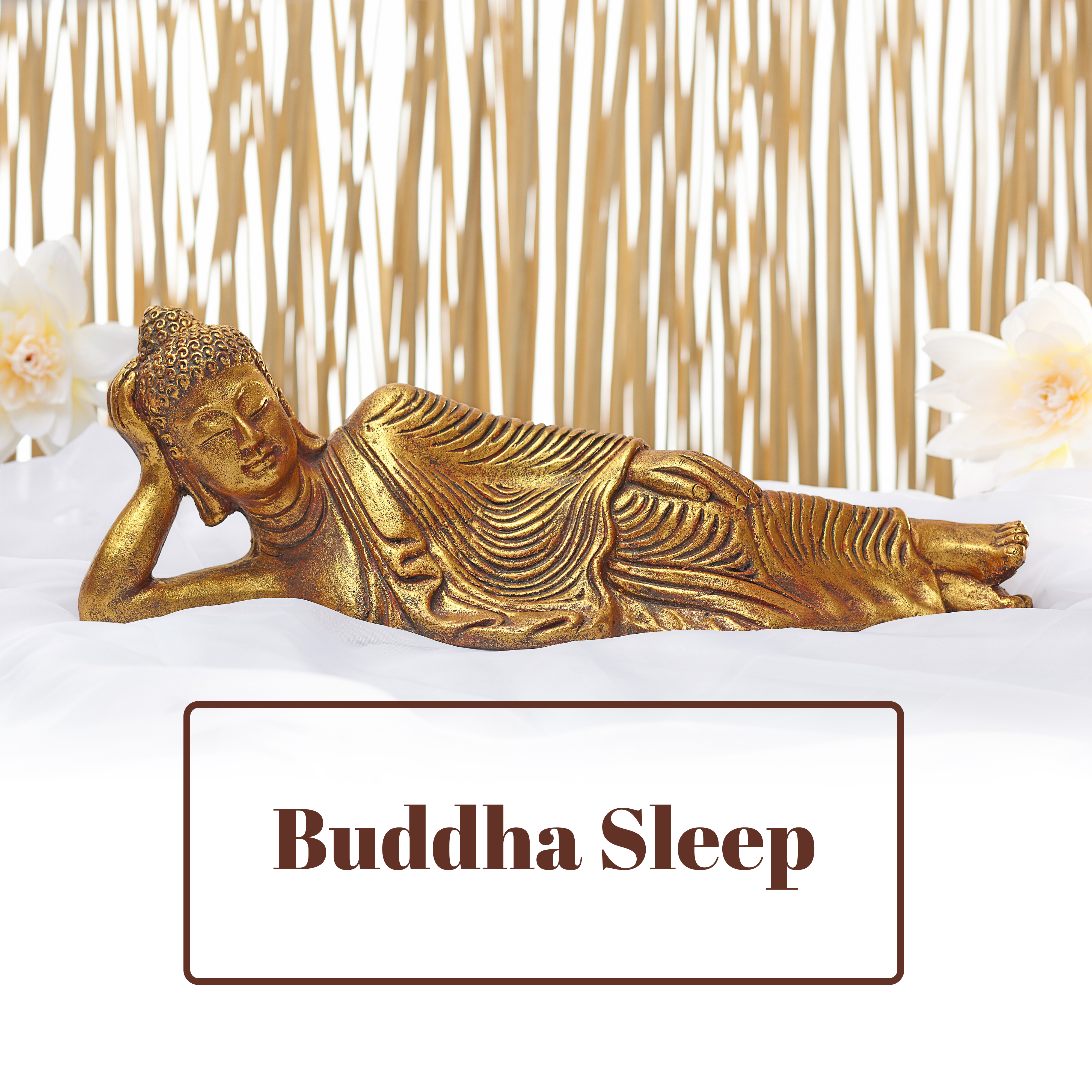 Buddha Sleep
