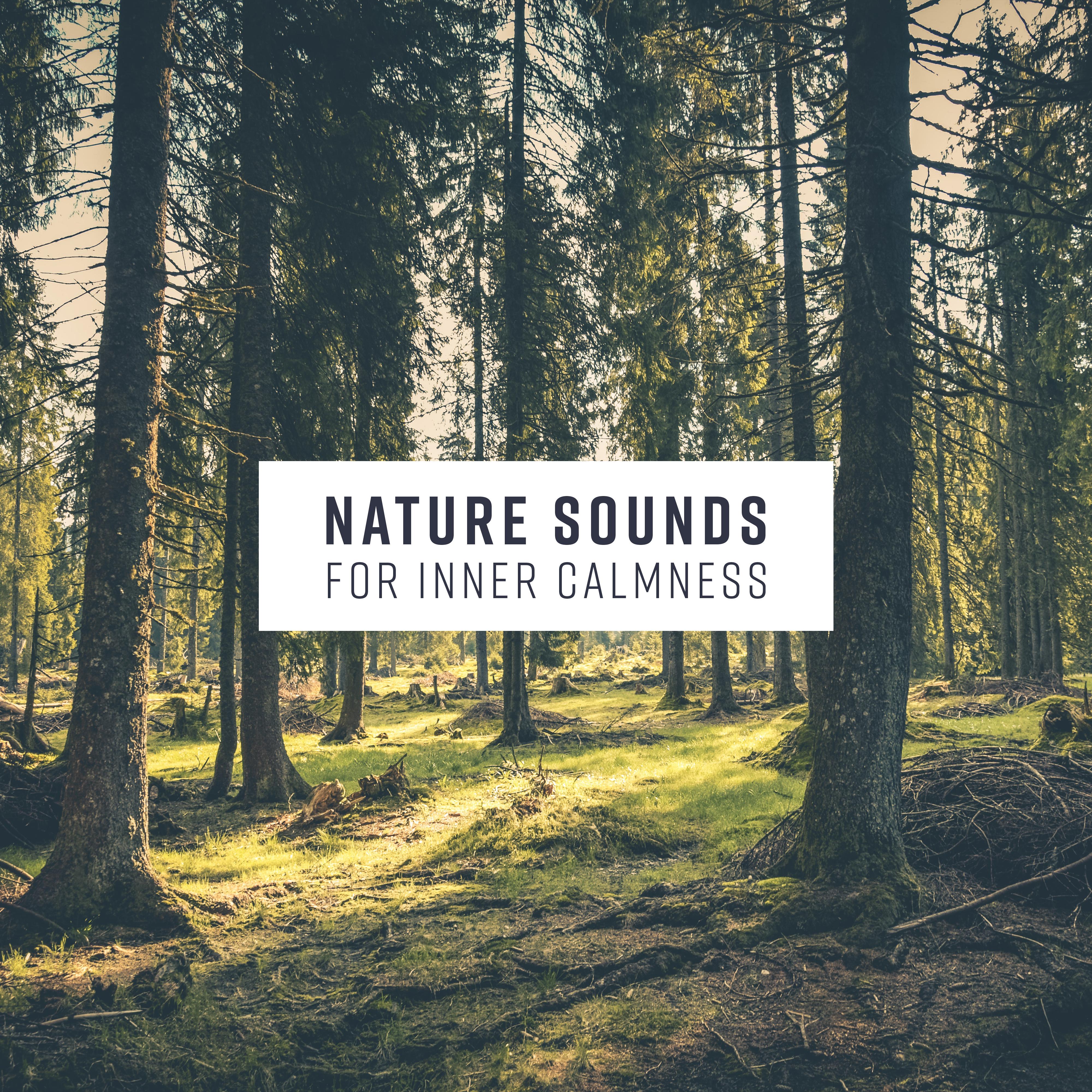 Nature Sounds for Inner Calmness