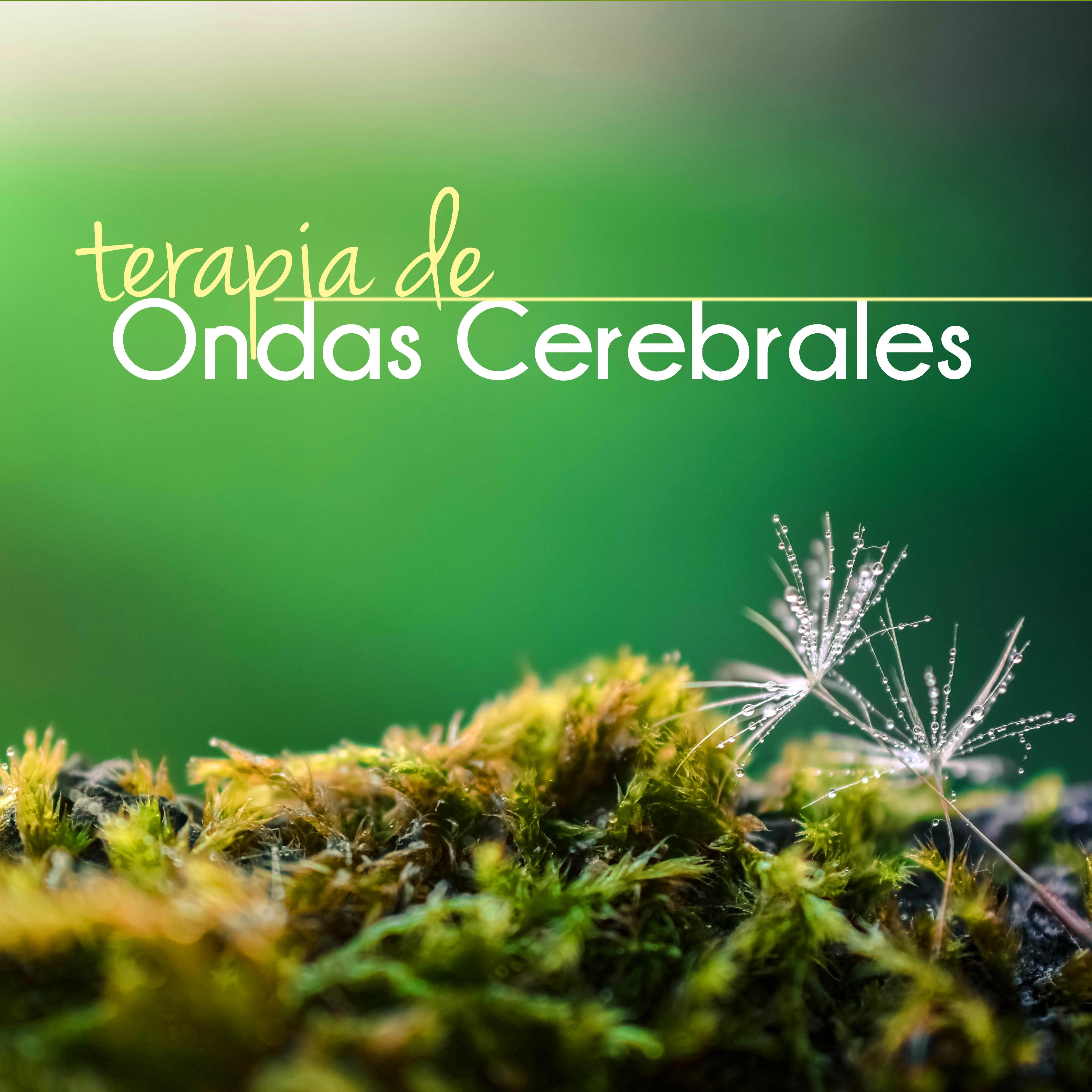 Terapia de Ondas Cerebrales - Sonidos de la Naturaleza Relajacion para Meditar