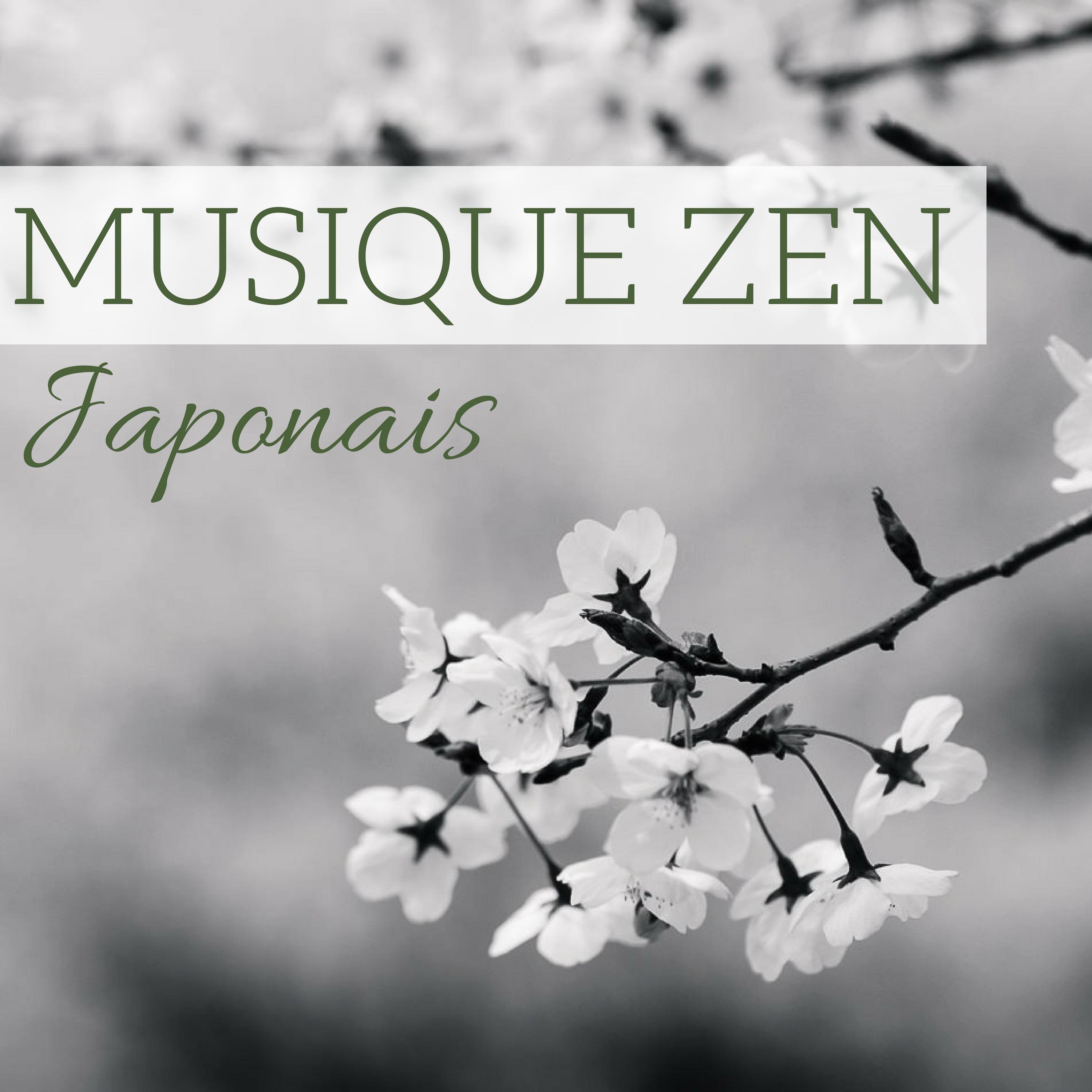 Musique Zen Japonais  Pour me ditation transcendantale, yoga tantrique, feng shui